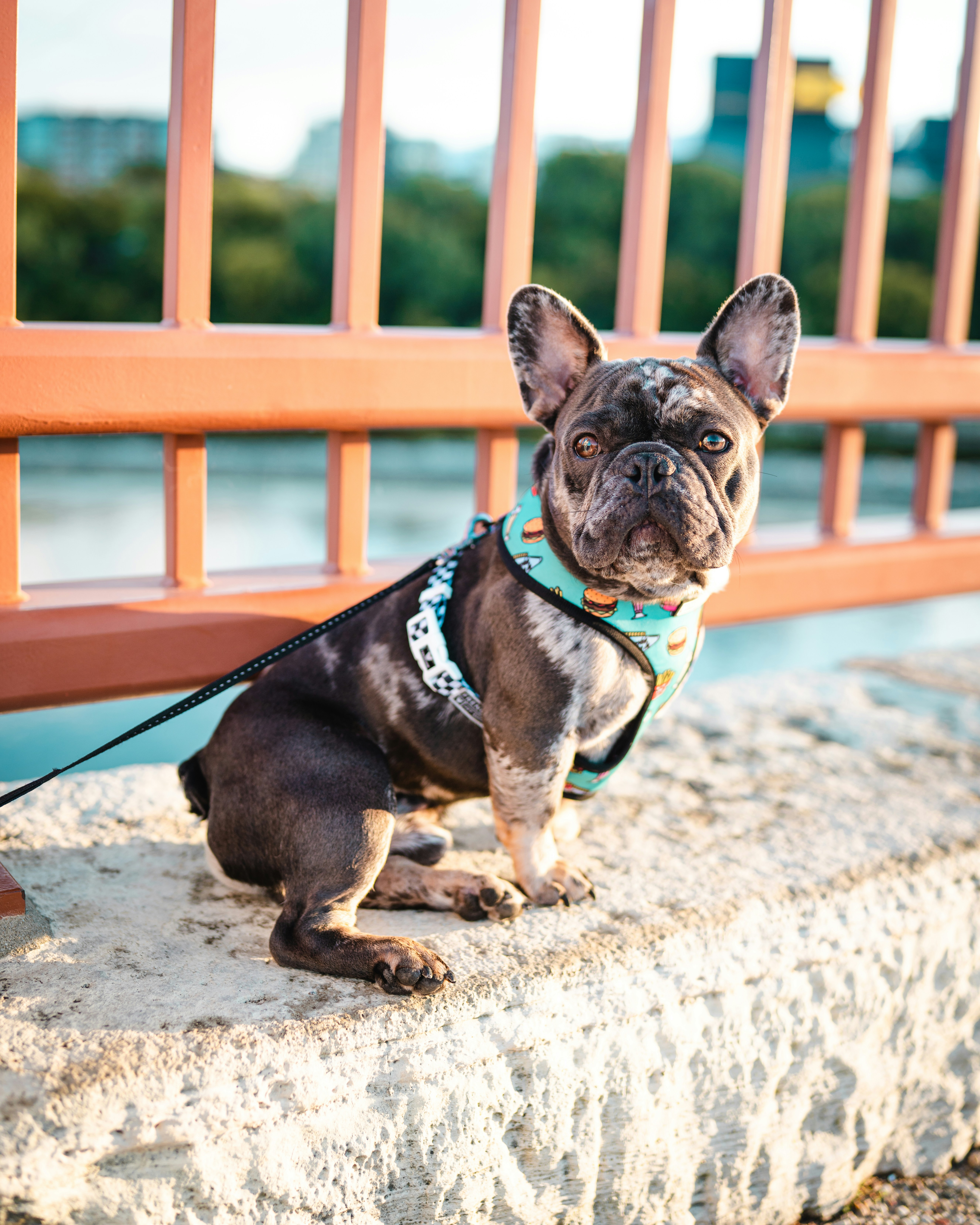 Photo by isthatbrock