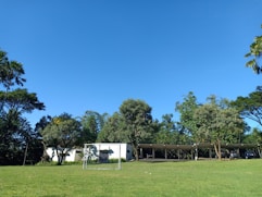 A lush green lawn leads to a small soccer goalpost standing prominently in the foreground. Further back, a row of tall, leafy trees and dense foliage creates a natural border, with a white building partially visible through the greenery. A carport with several parked vehicles is partially hidden behind the trees. The bright blue sky overhead adds a vibrant contrast to the scene.