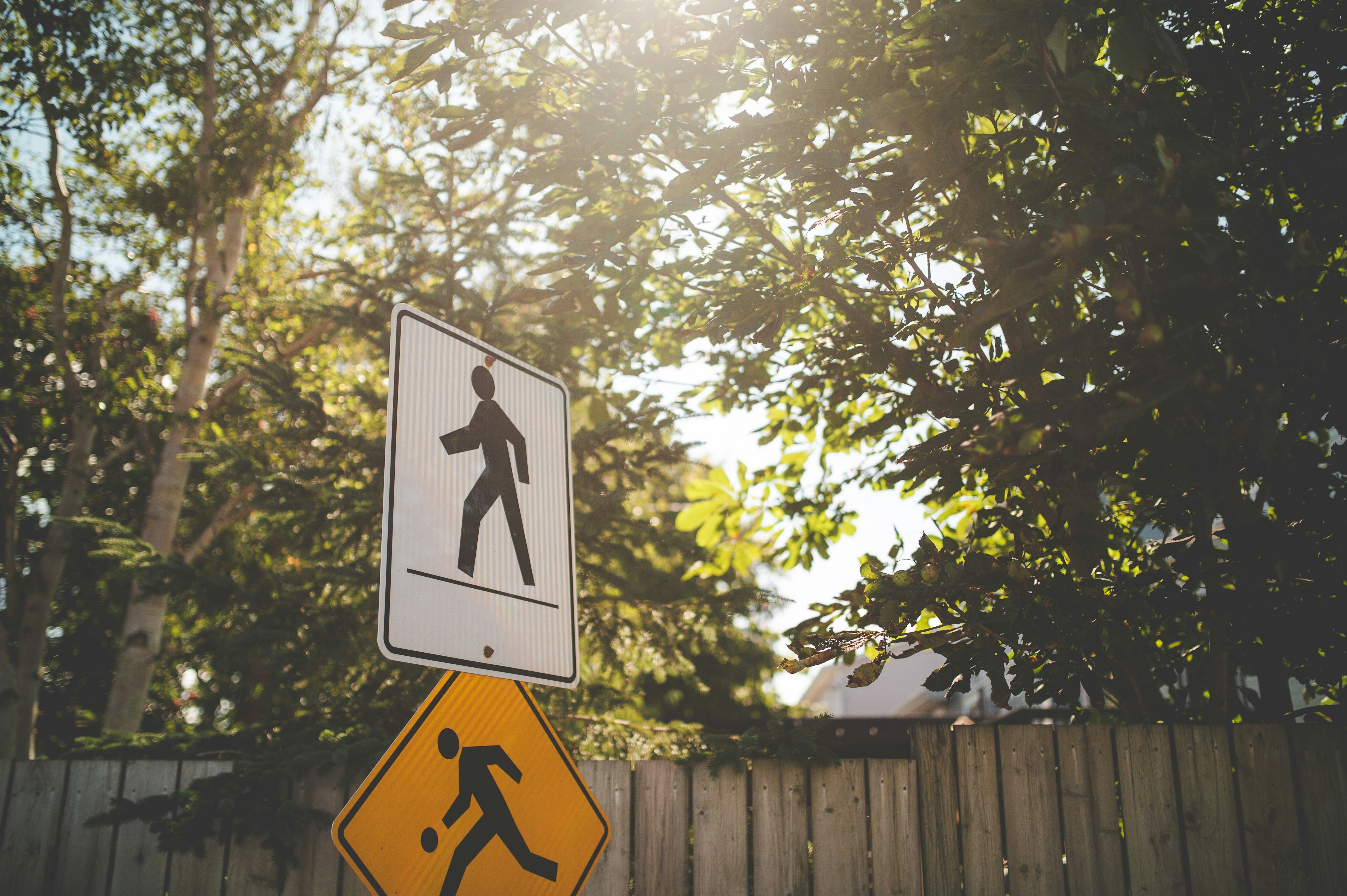 Photo by porkbellysteve