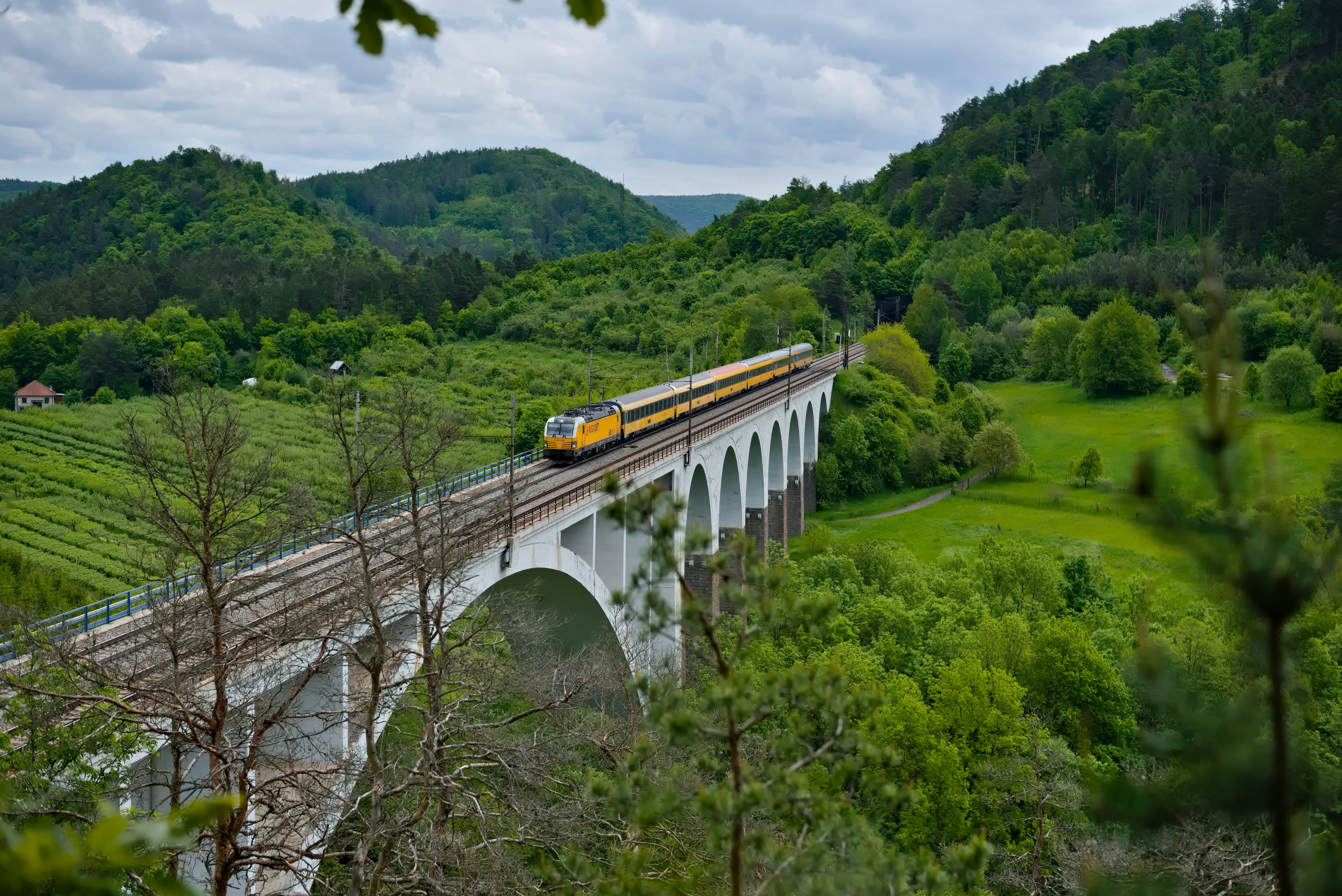 yellow and white train on rail tracks