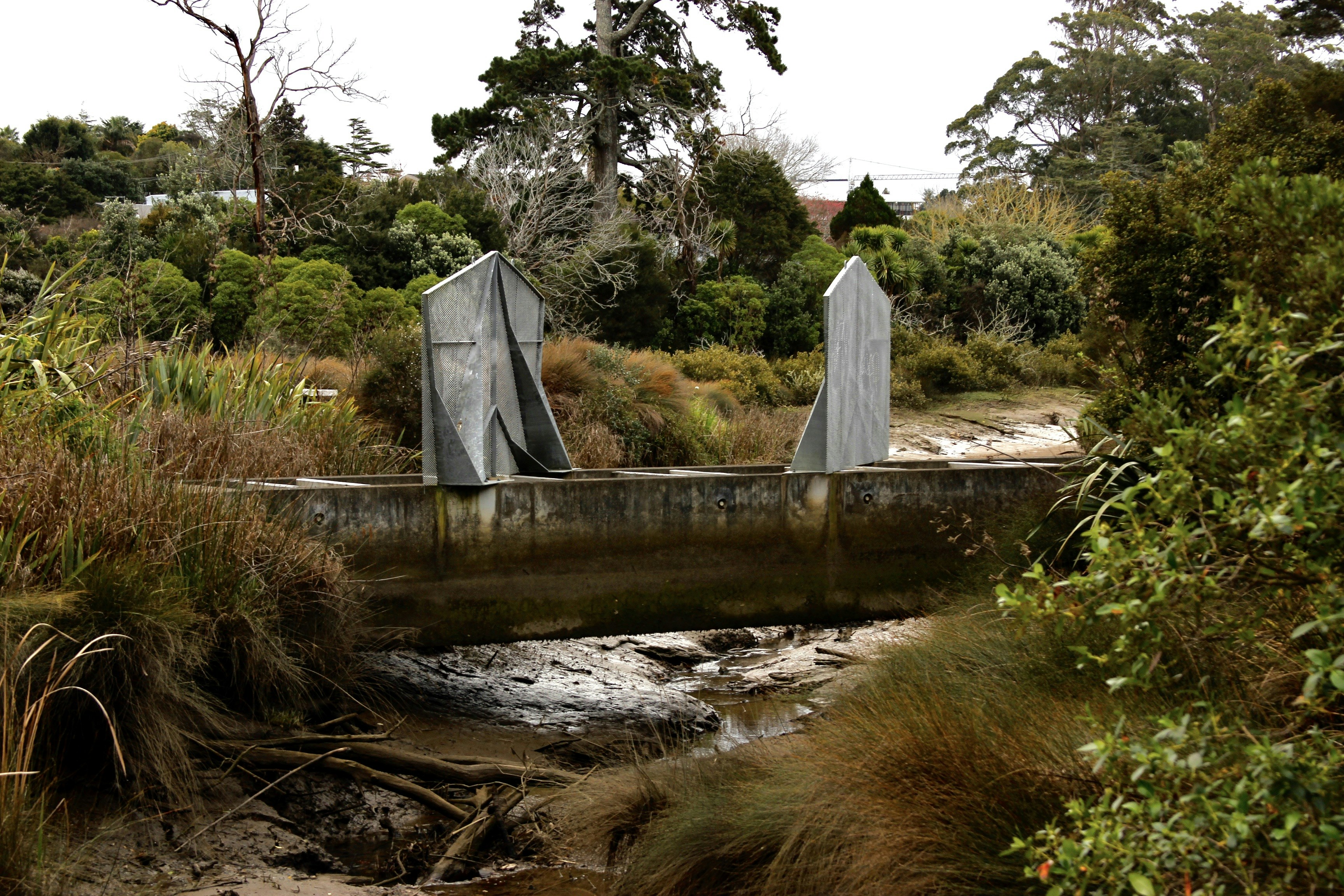 Wai-tāiri / Tington Wetlands Reserve