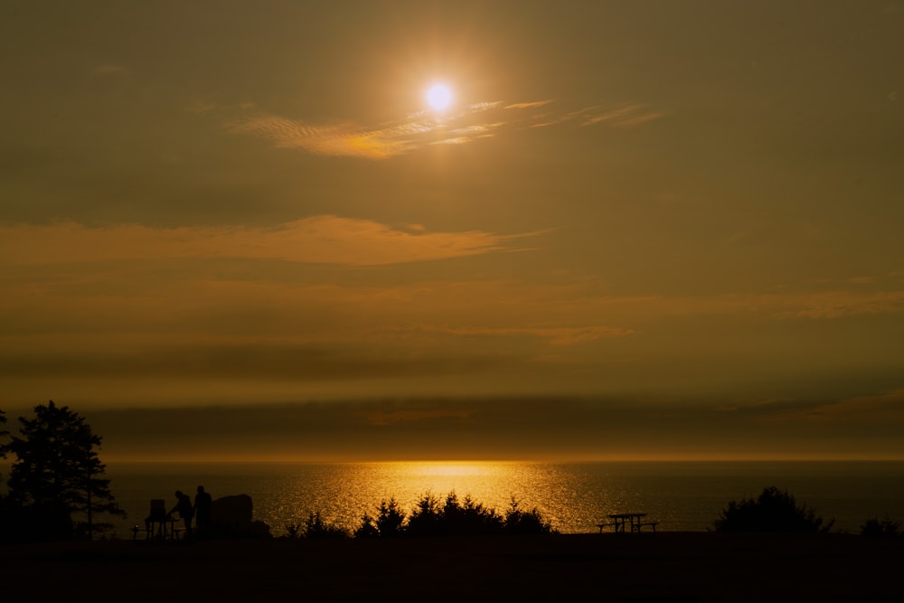 Silueta de árboles durante la puesta del sol