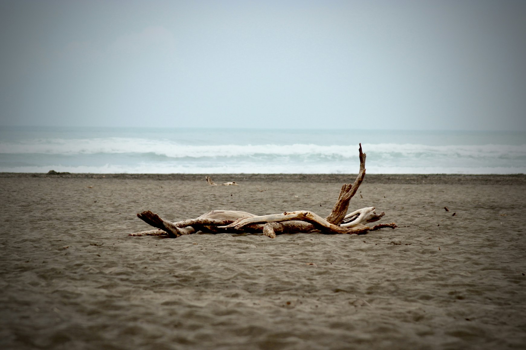 Pakiri Beach white sand surf beach Auckland New Zealand