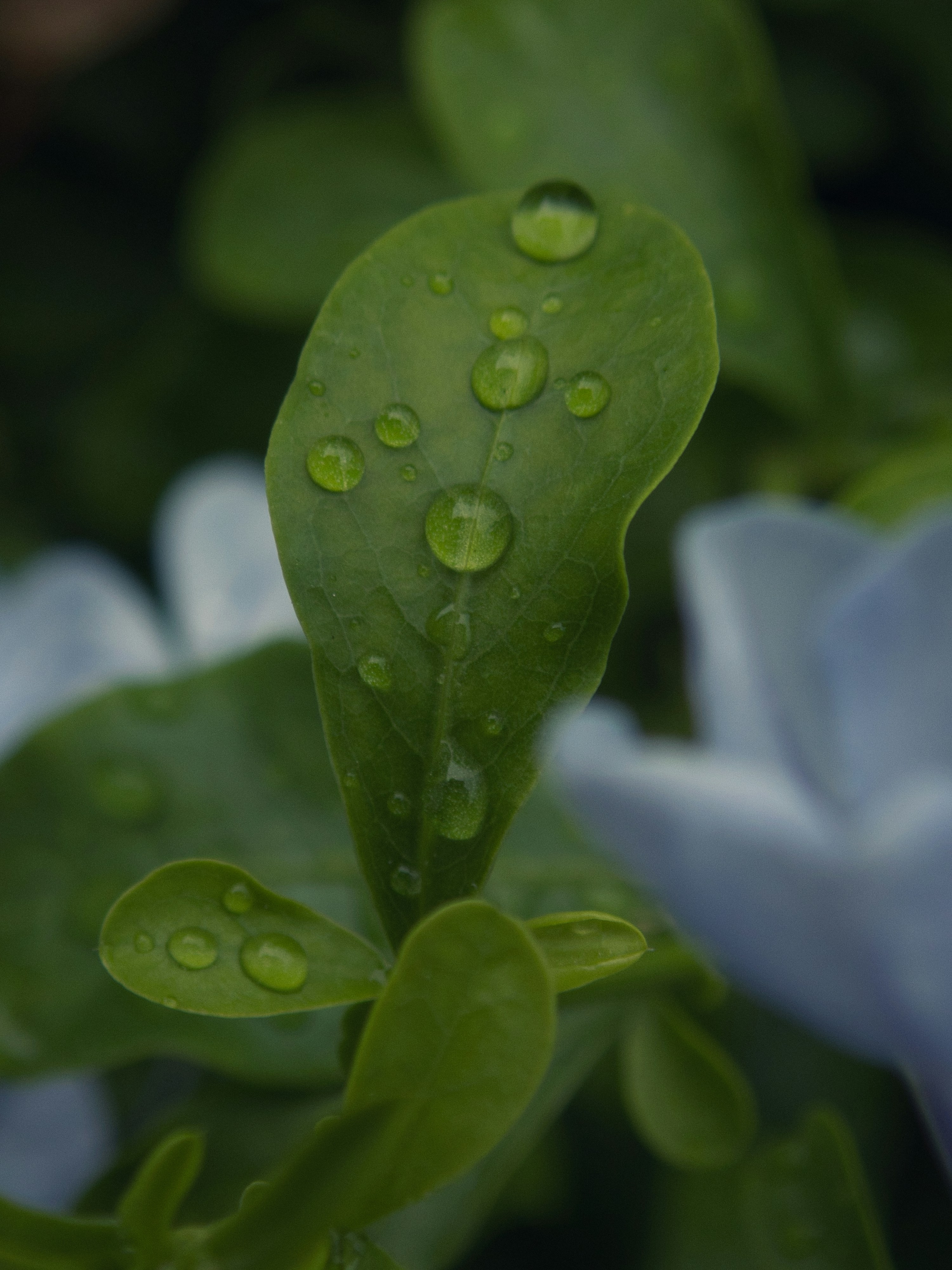 Photo by alishahlakhani