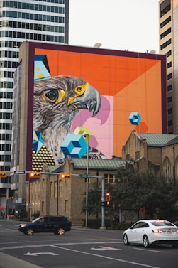 owl on top of building