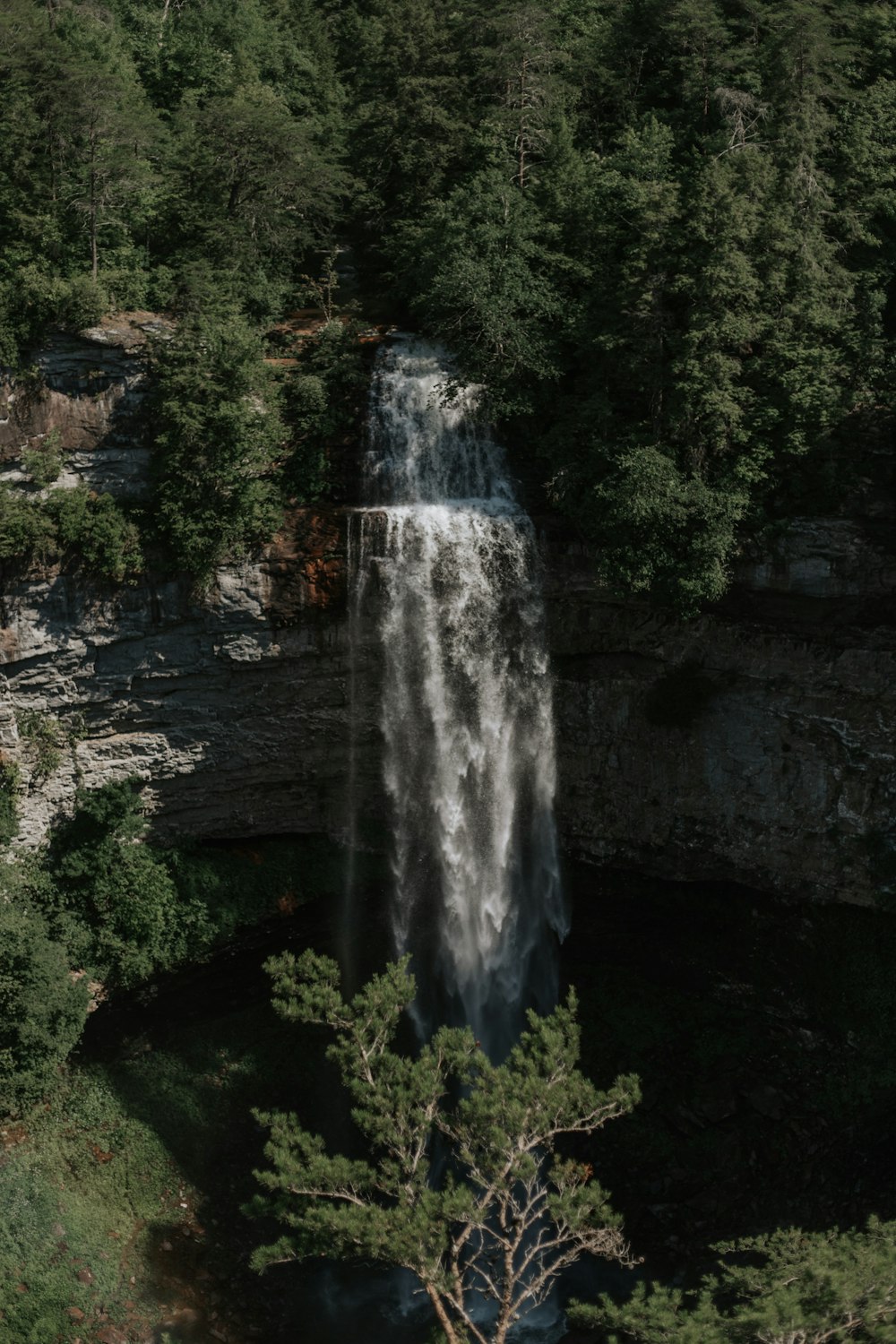 a large waterfall in the middle of a forest