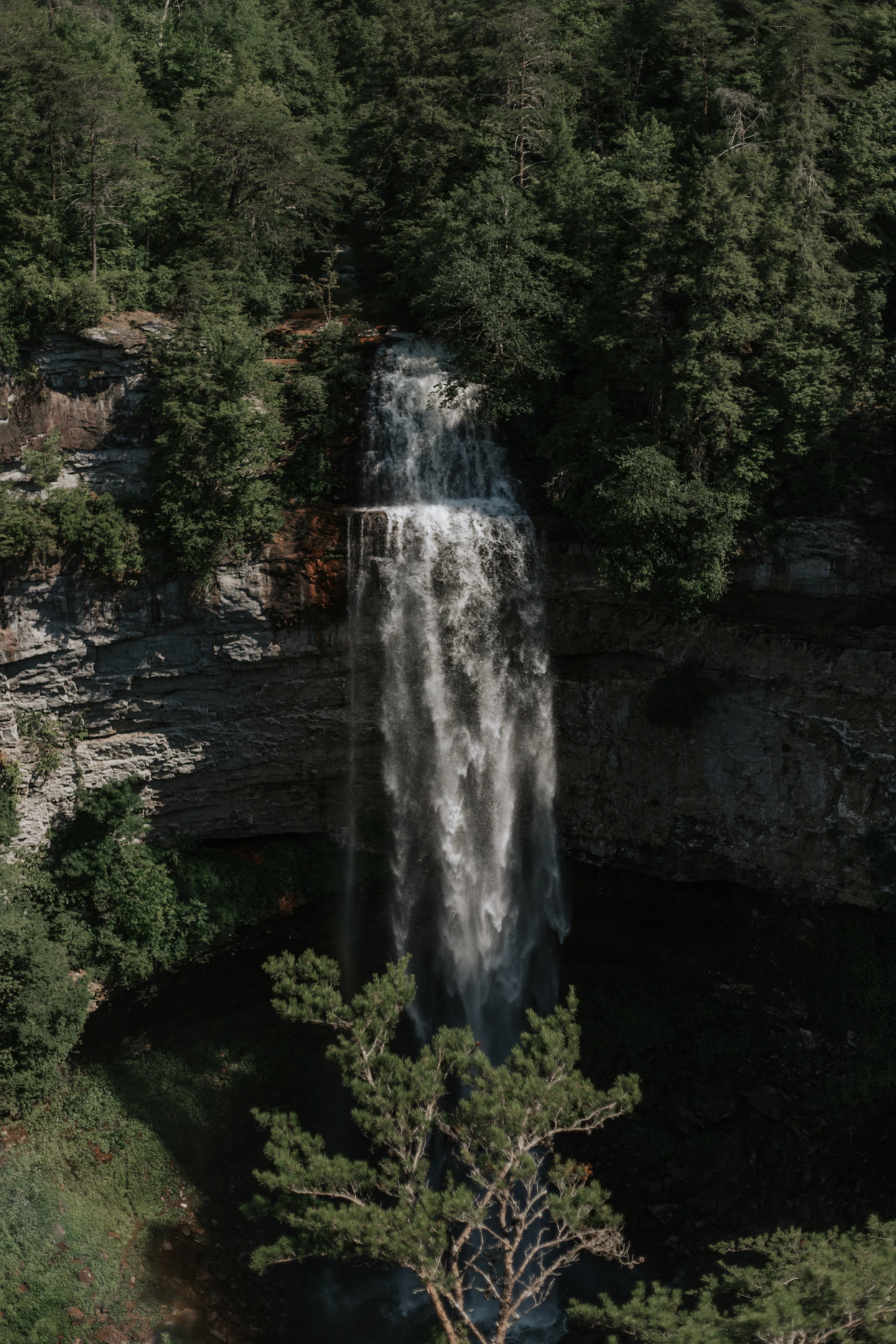 Fall Creek Falls pouring over a sandstone rim into a forested gorge.