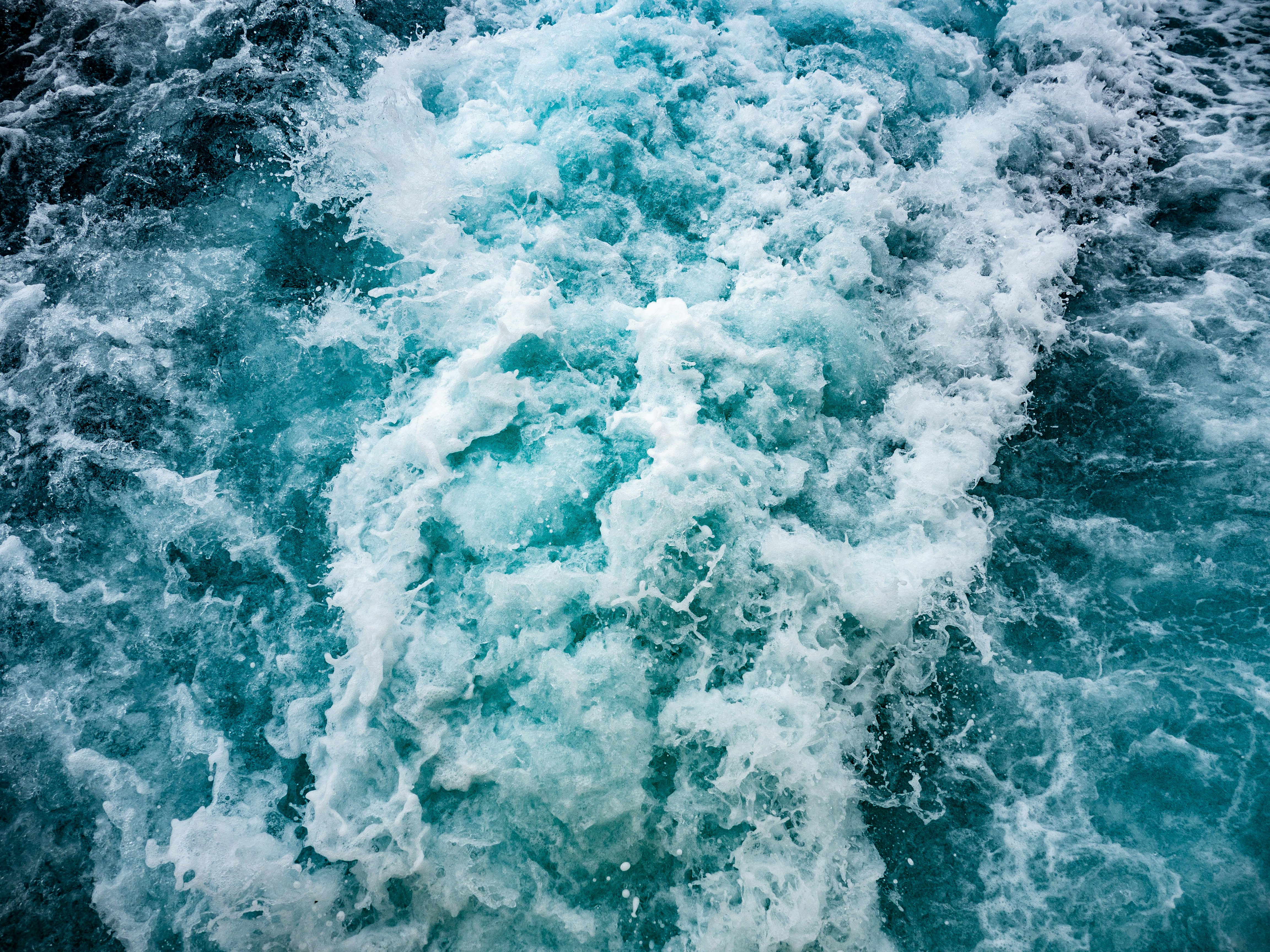 Photo by bennettsark