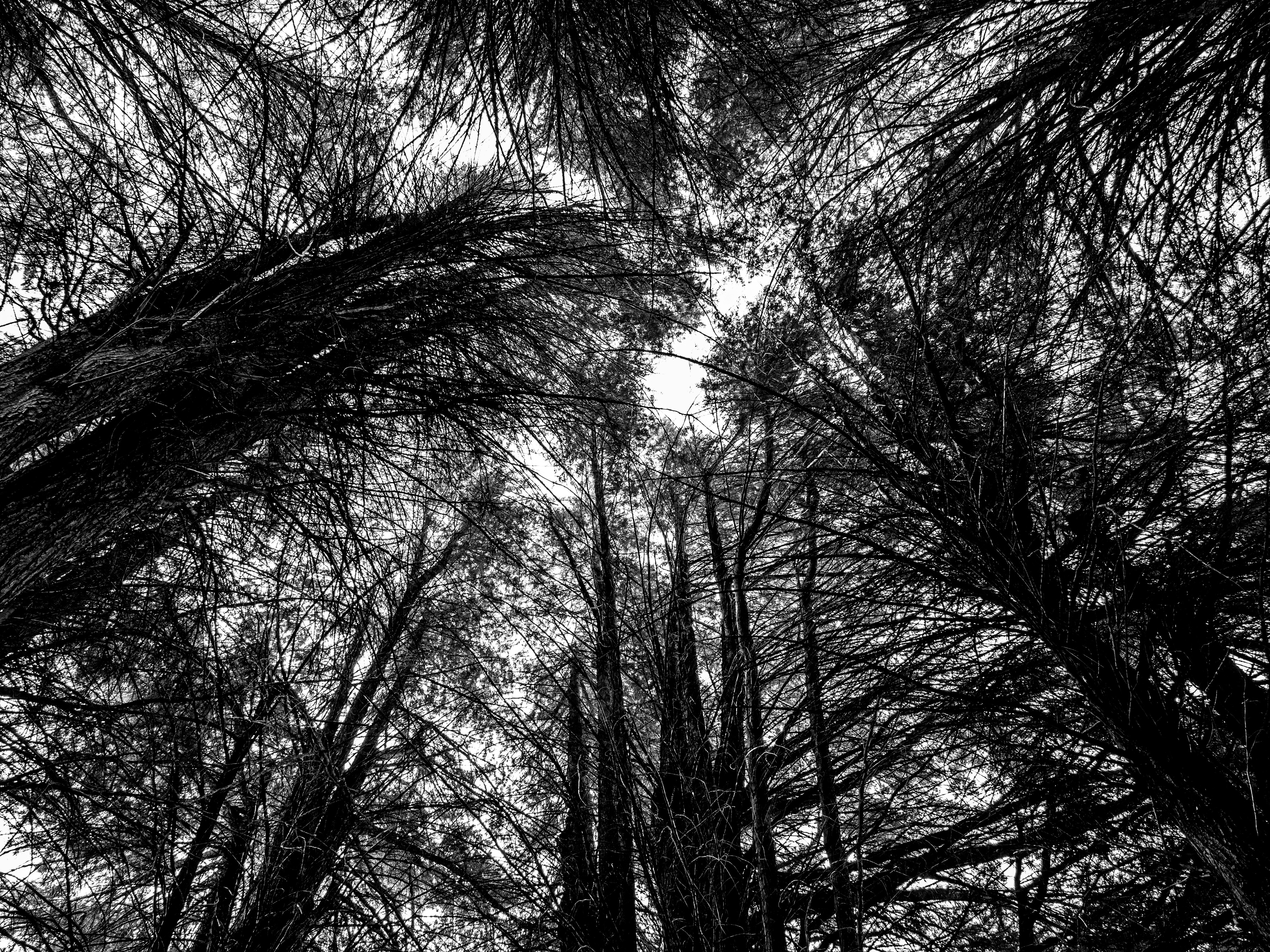 Photo by bennettsark