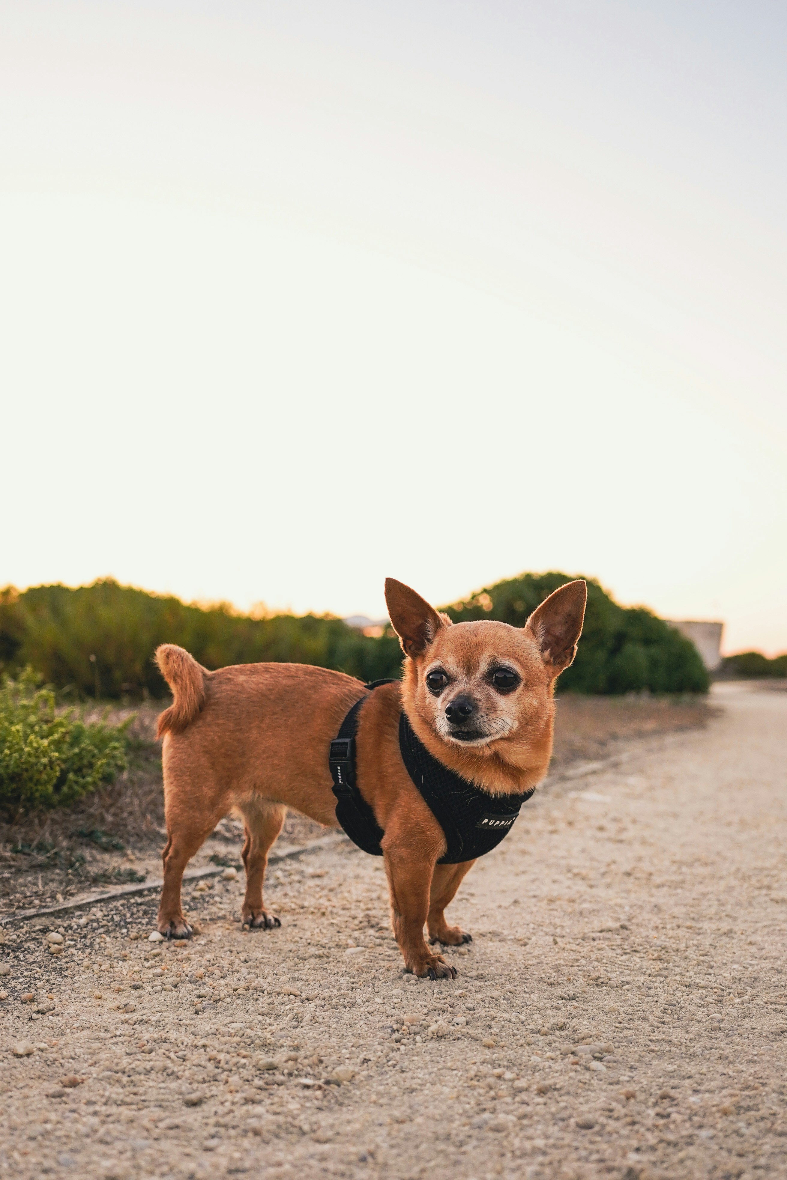 Photo by joaomncsanfins