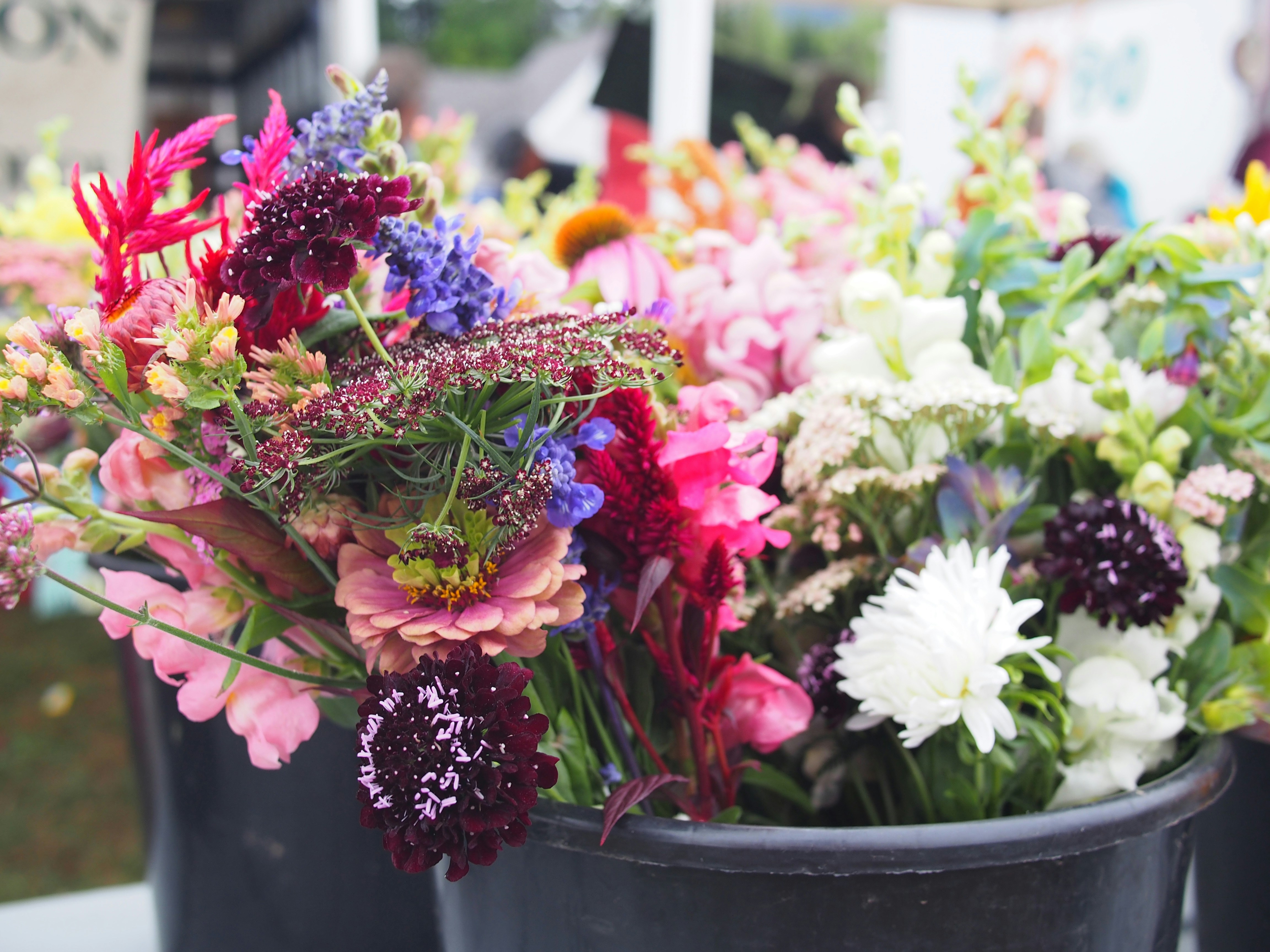 Photo by andrewoftheforest