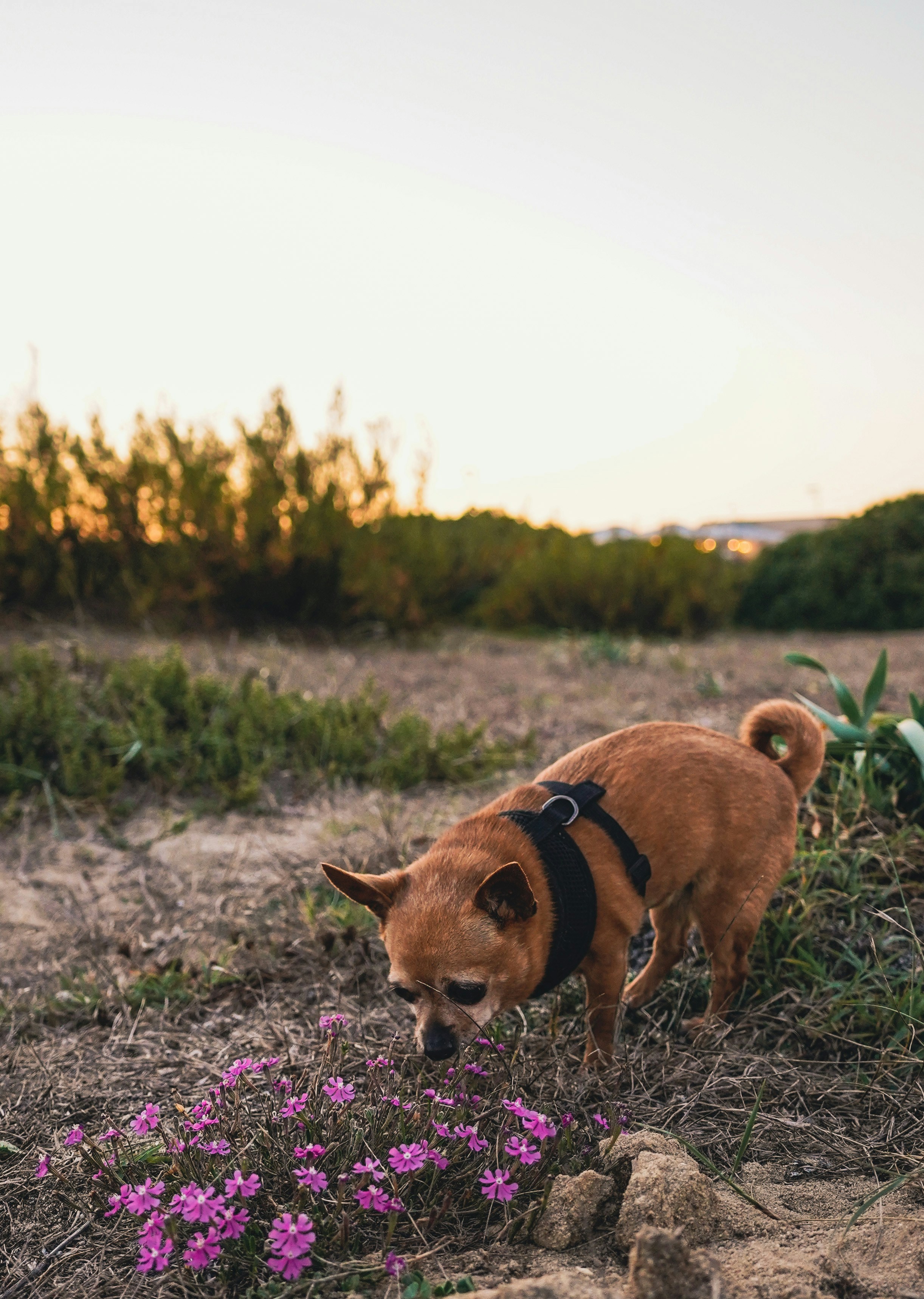 Photo by joaomncsanfins