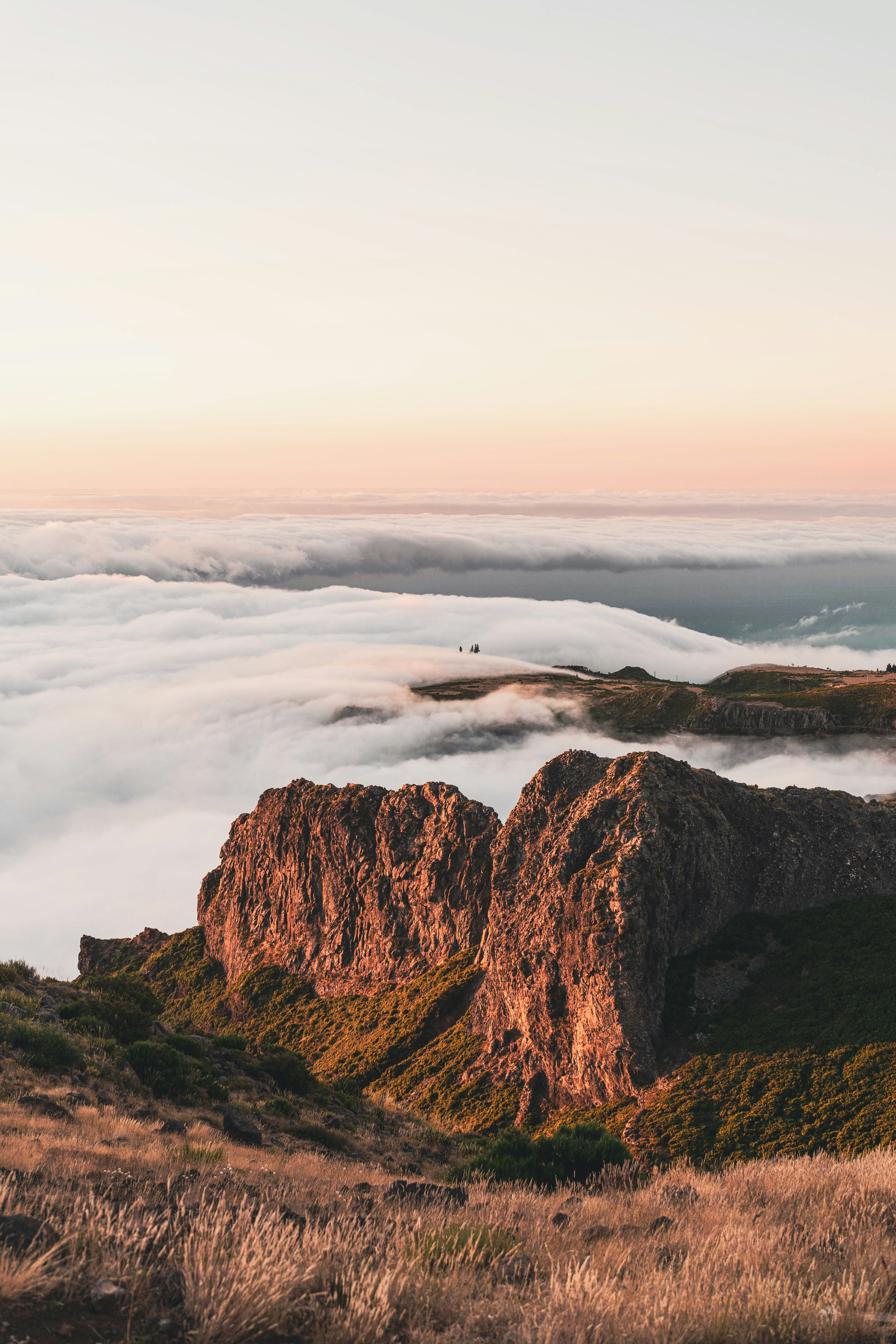 Photo by joaomncsanfins