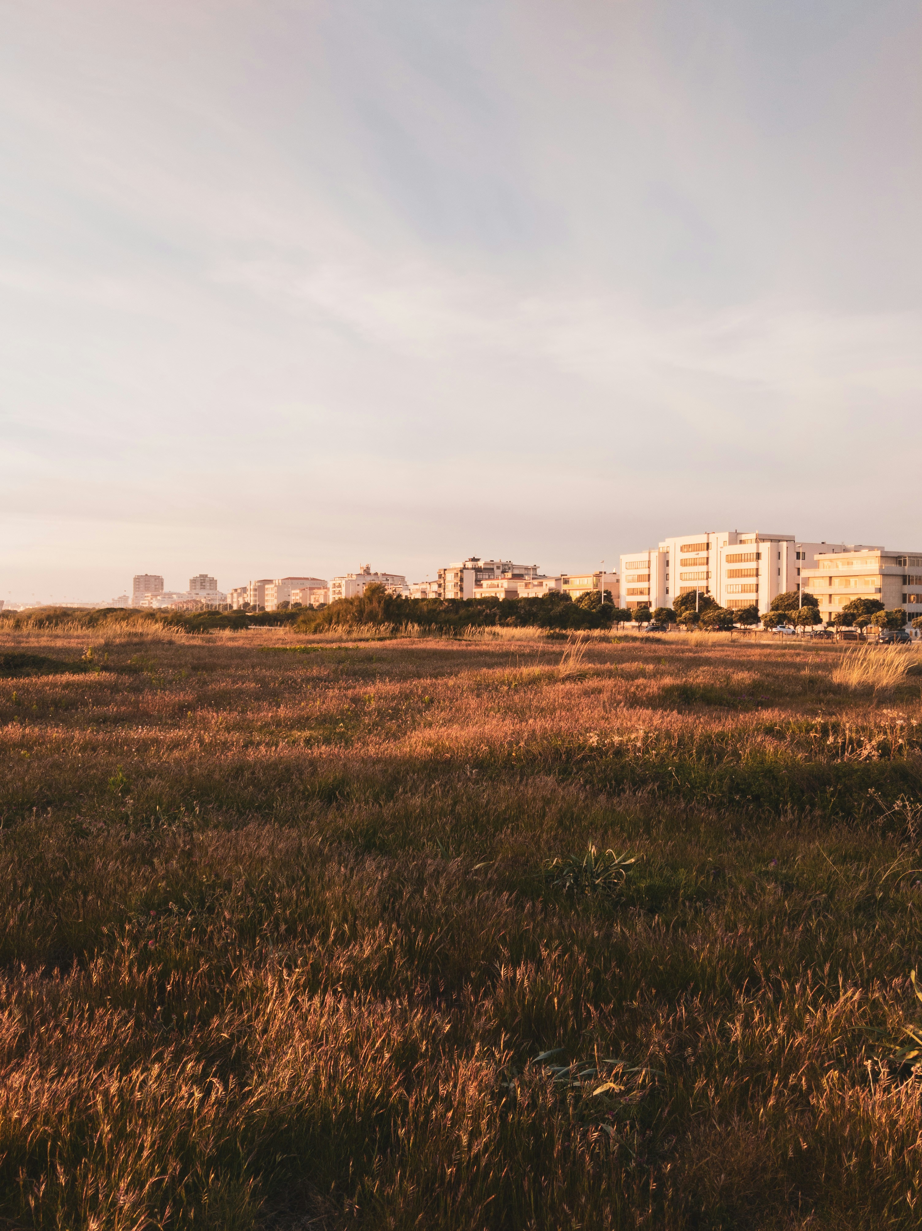 Photo by joaomncsanfins