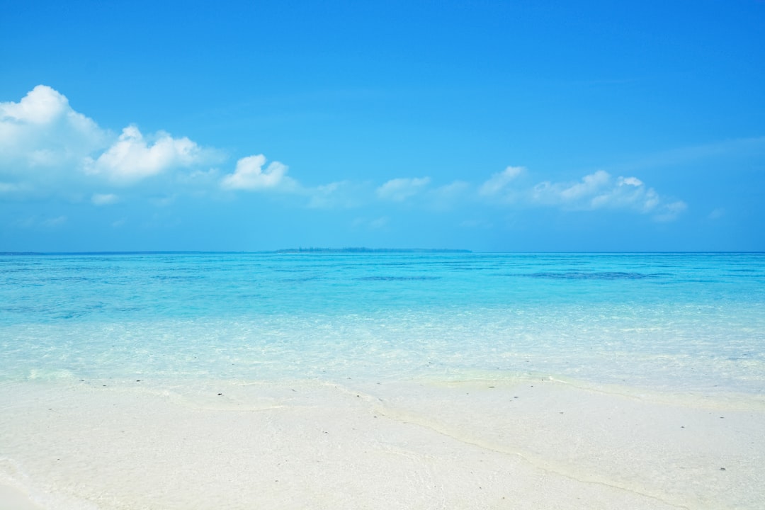 blue sky over the beach