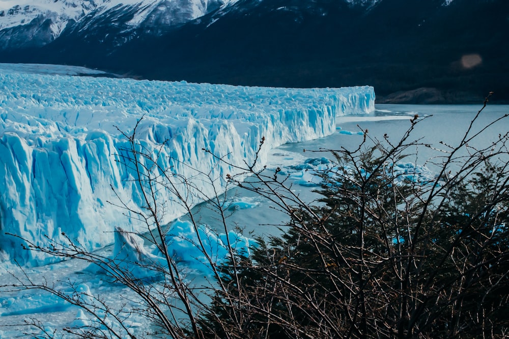 uma grande geleira com montanhas cobertas de neve ao fundo