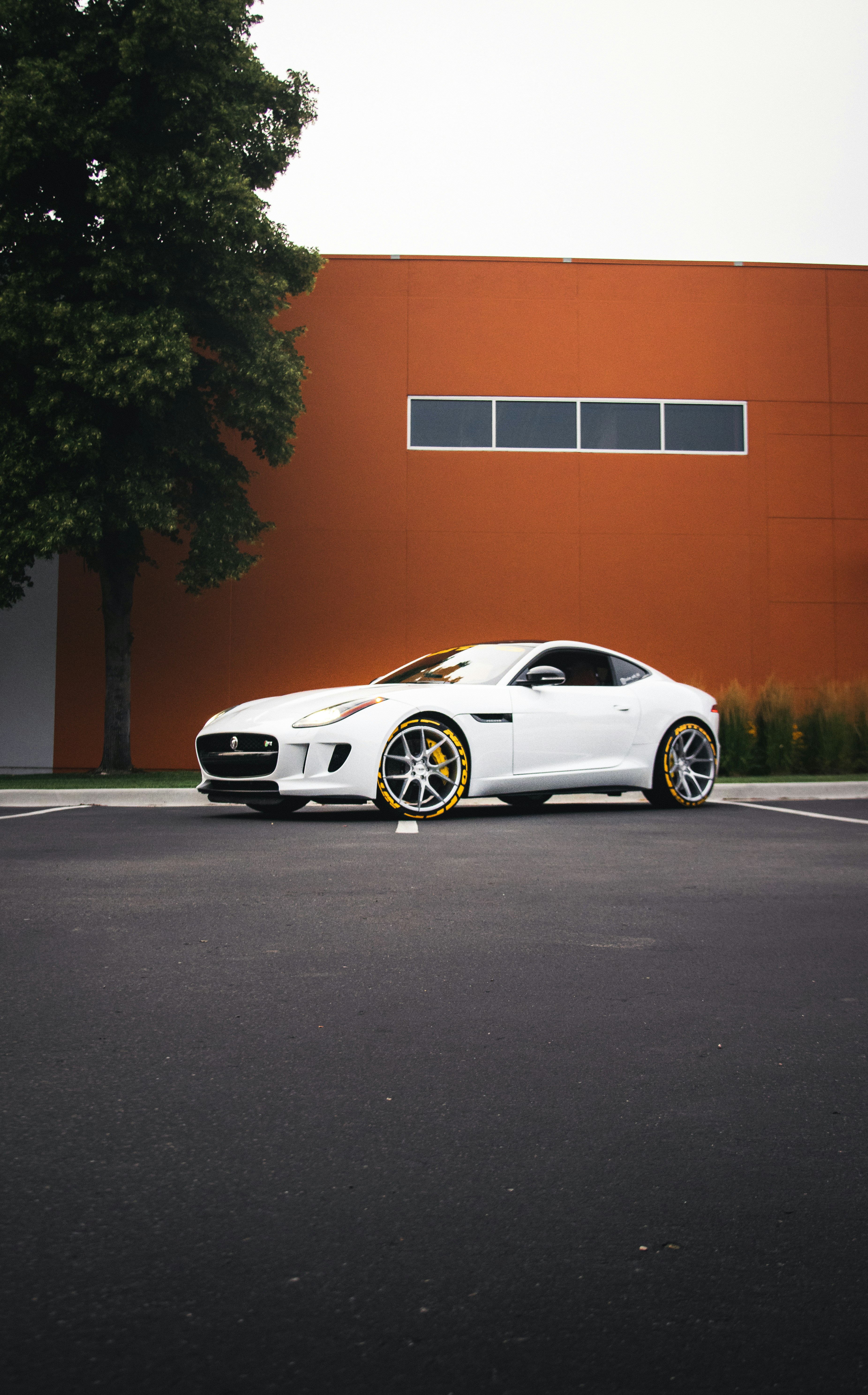 Photo by brandon_paul02