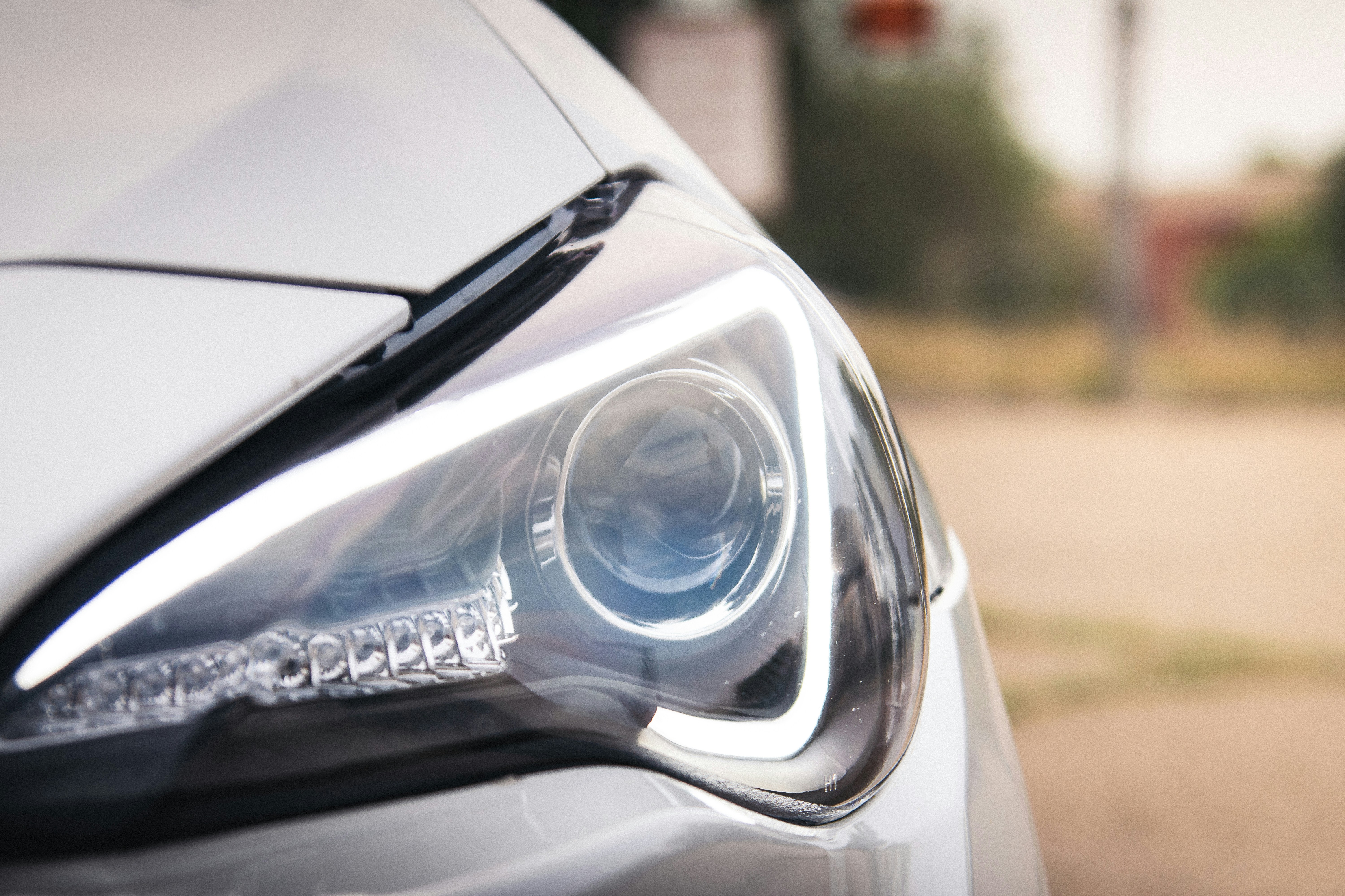 Photo by brandon_paul02