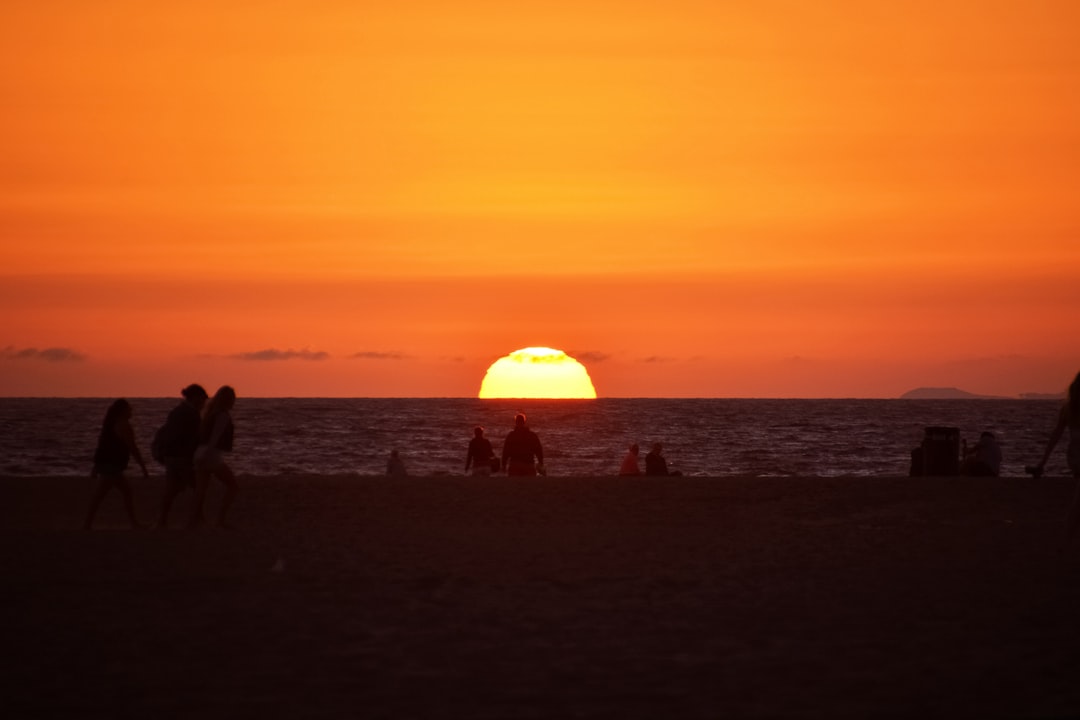 silhouette of people on beach during sunset