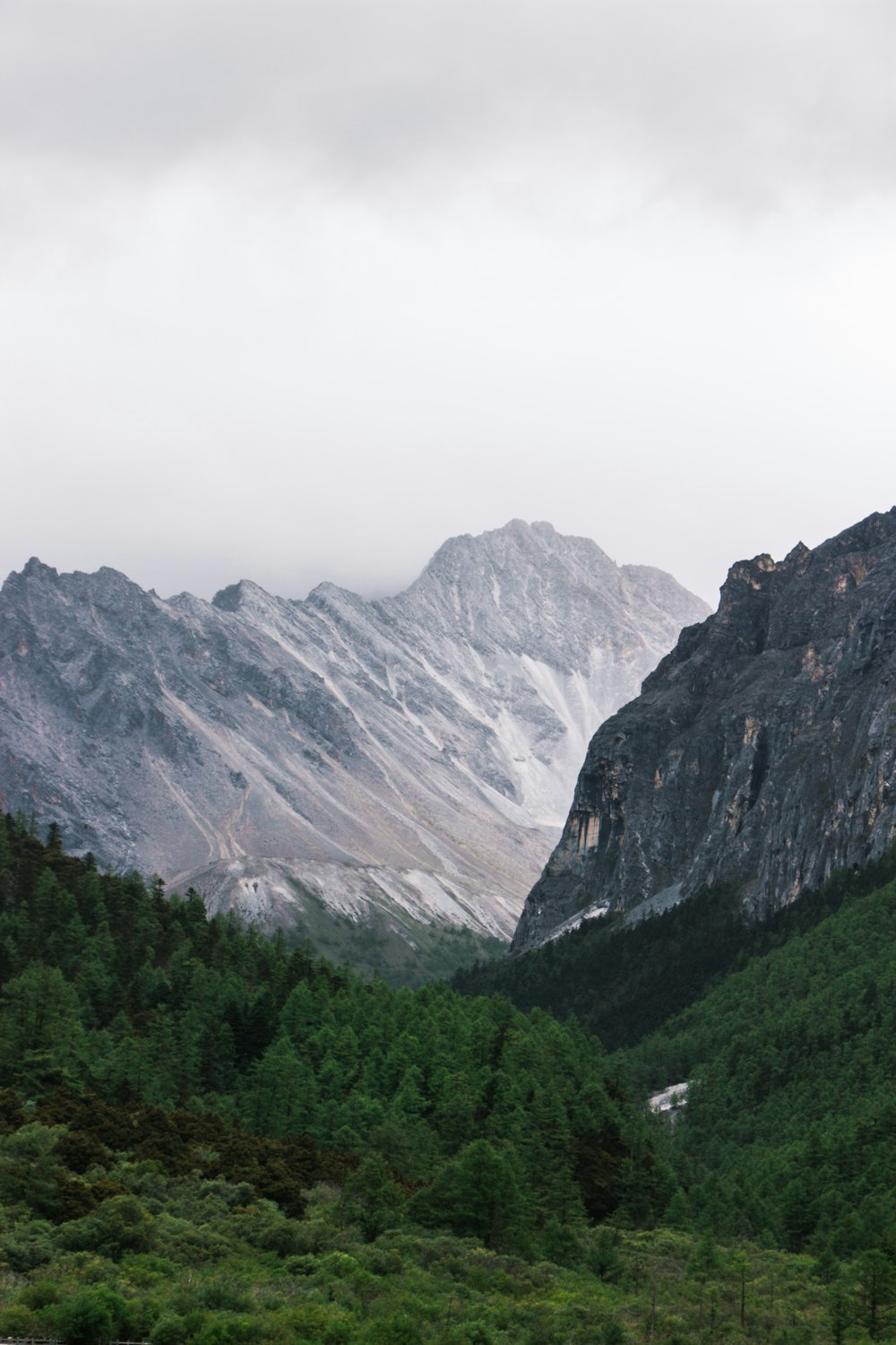 green trees near mountain during daytime