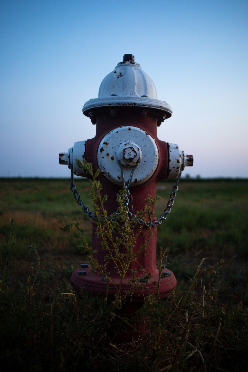 a red and white fire hydrant in a field