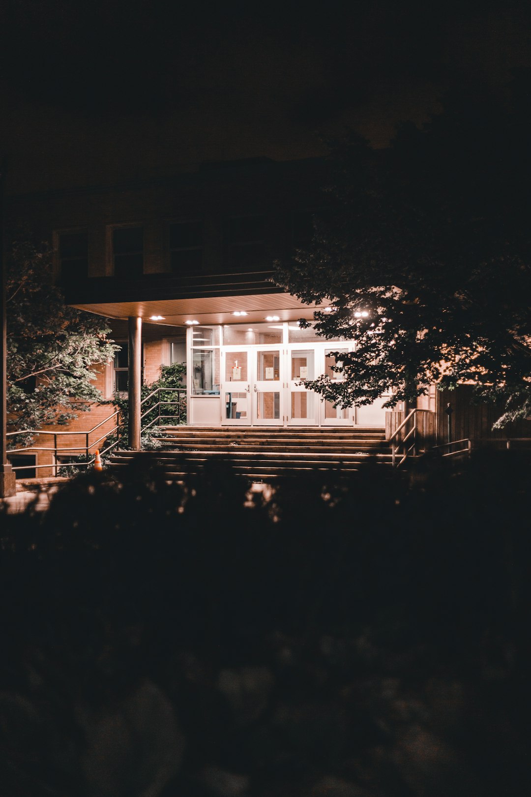 brown wooden house near green trees during night time