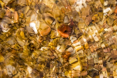 A close-up of intricate patterns symbolizing the mirriverse's smallest segment.