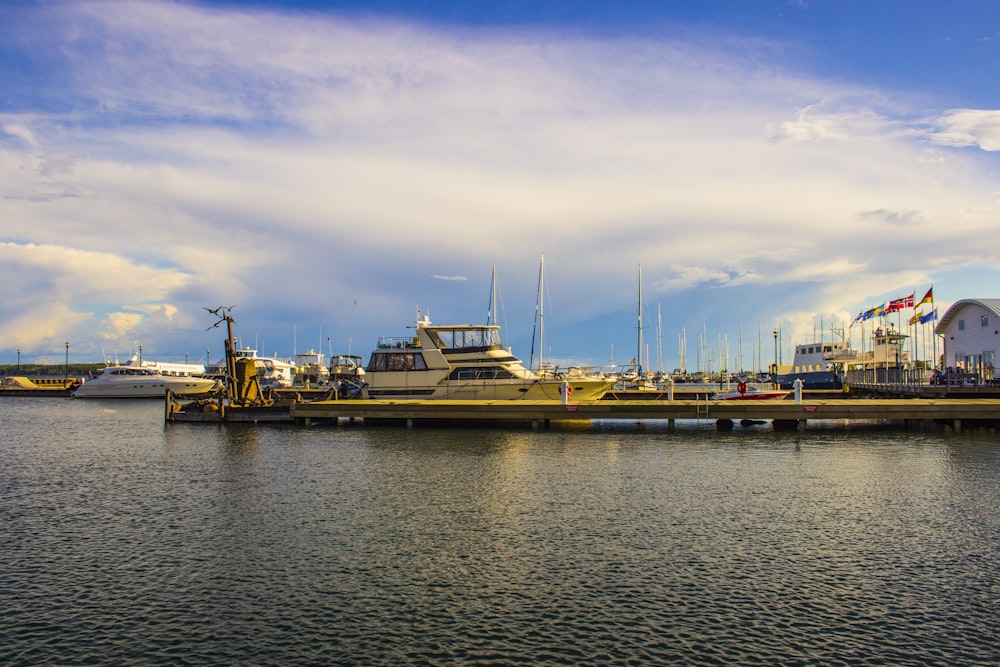 a boat dock with several boats in the water