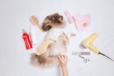 person holding yellow and white plastic bottle