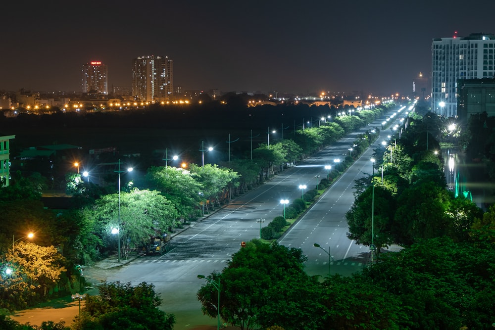 green trees near city buildings during night time