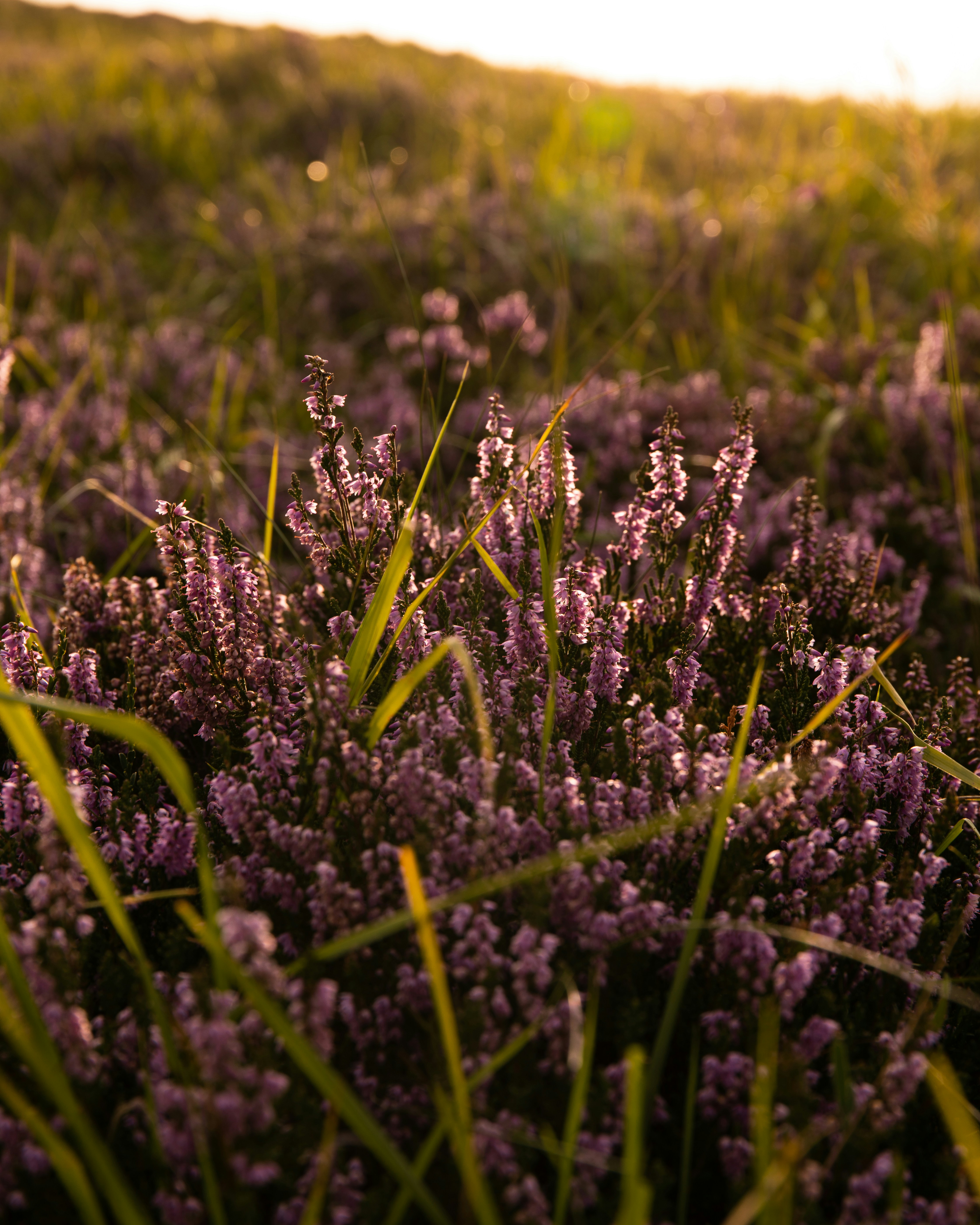 Photo by louisgaudiau