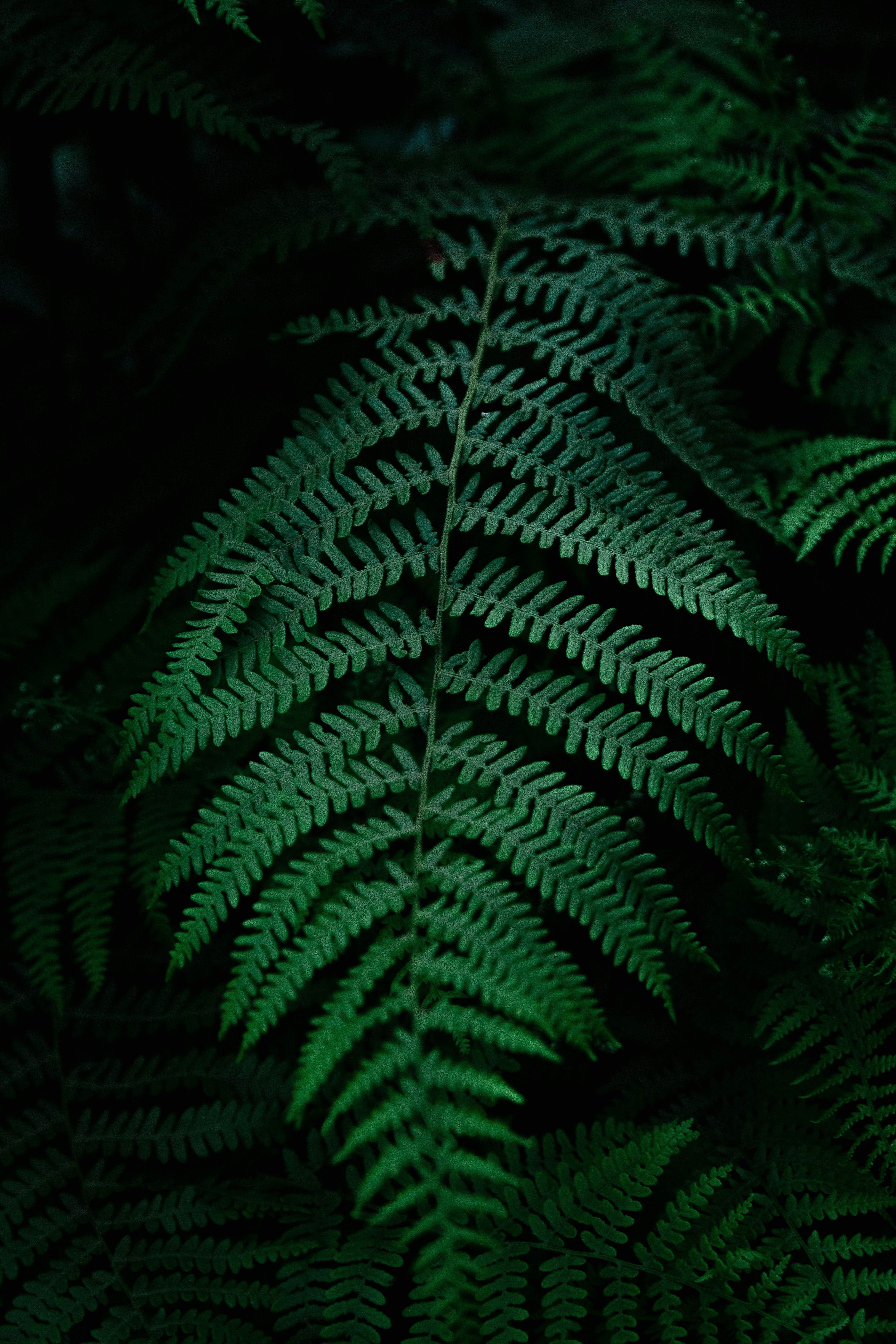 Photo by louisgaudiau