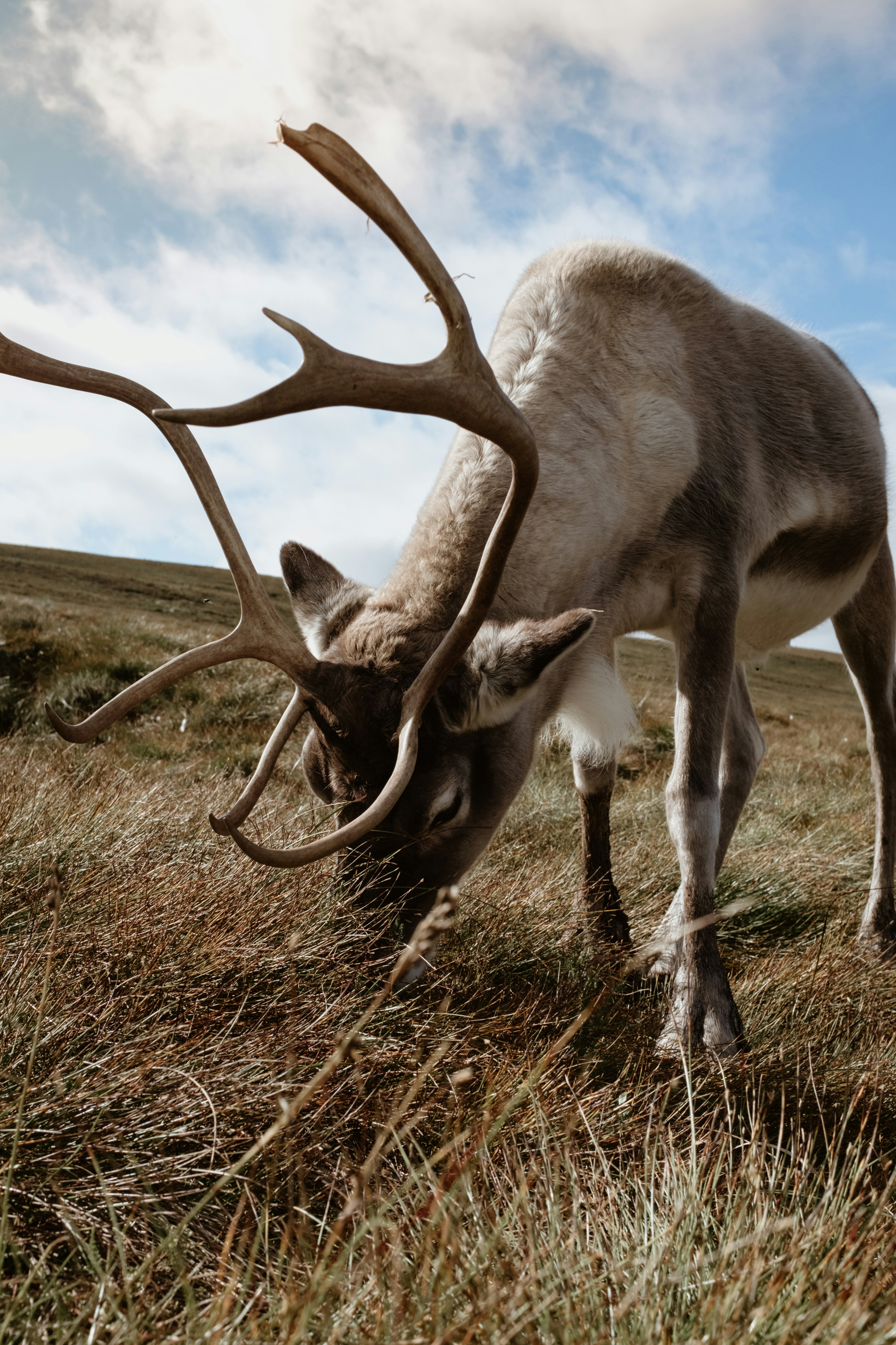 Photo by eleanorbrooke