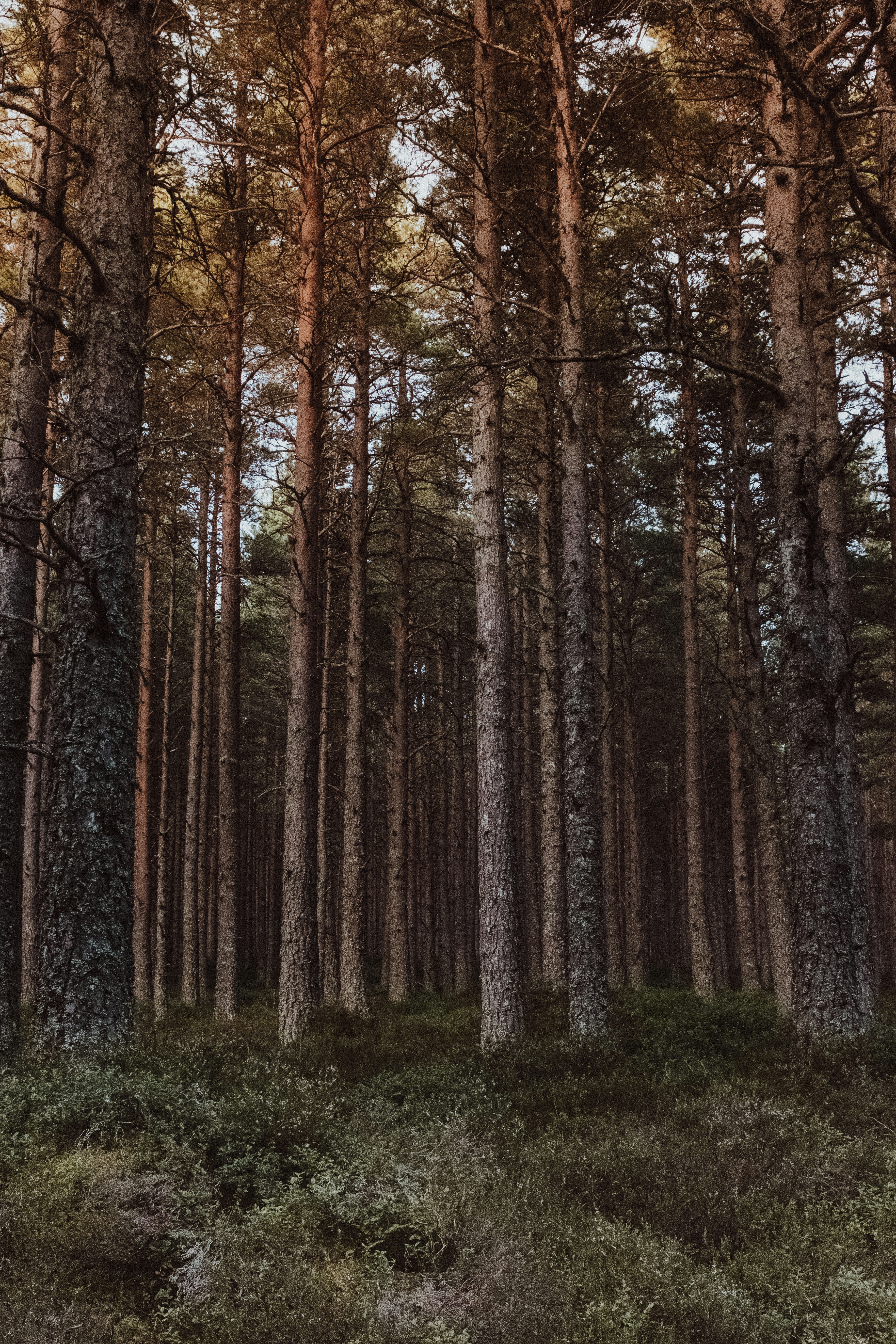 Photo by eleanorbrooke