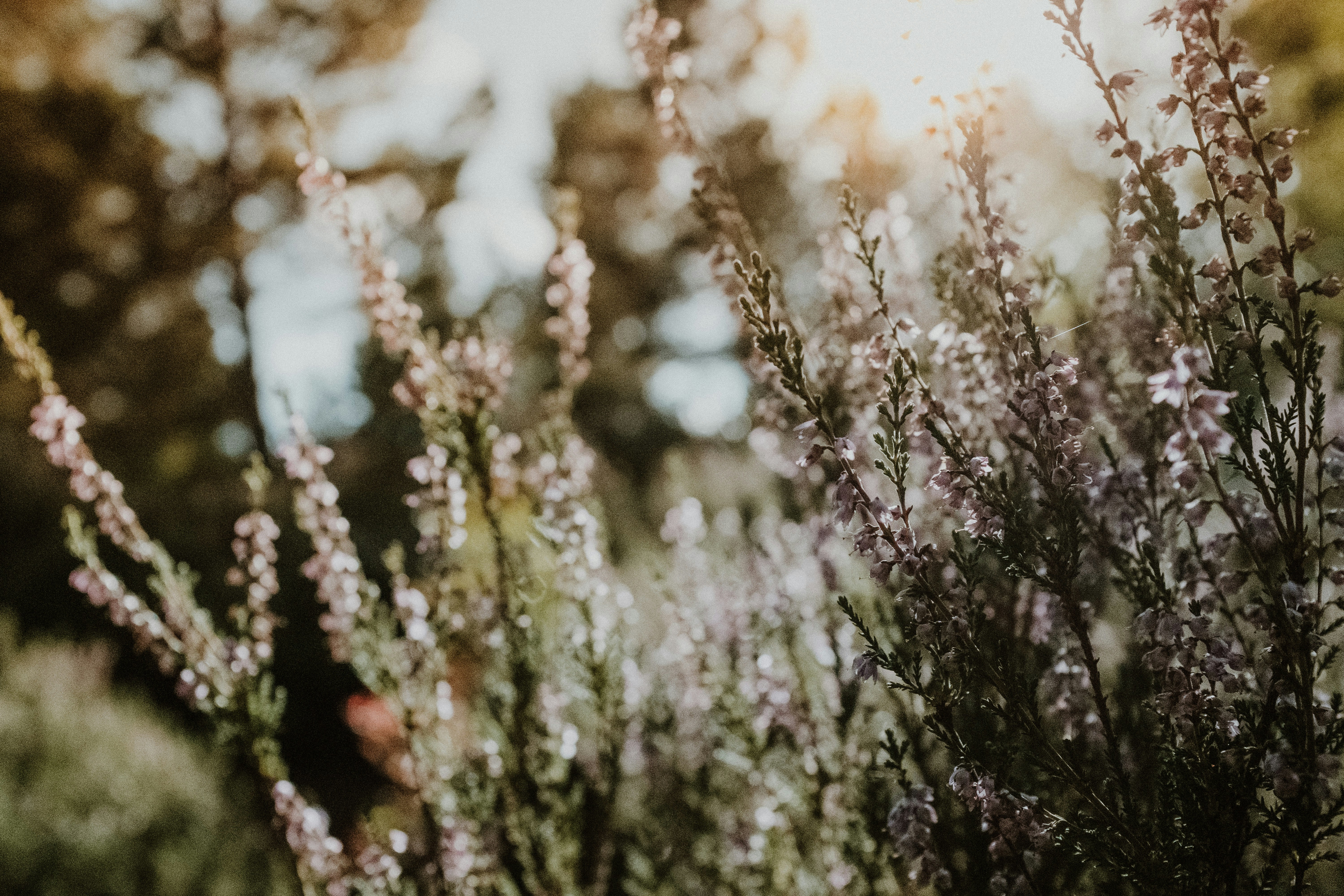 Photo by eleanorbrooke