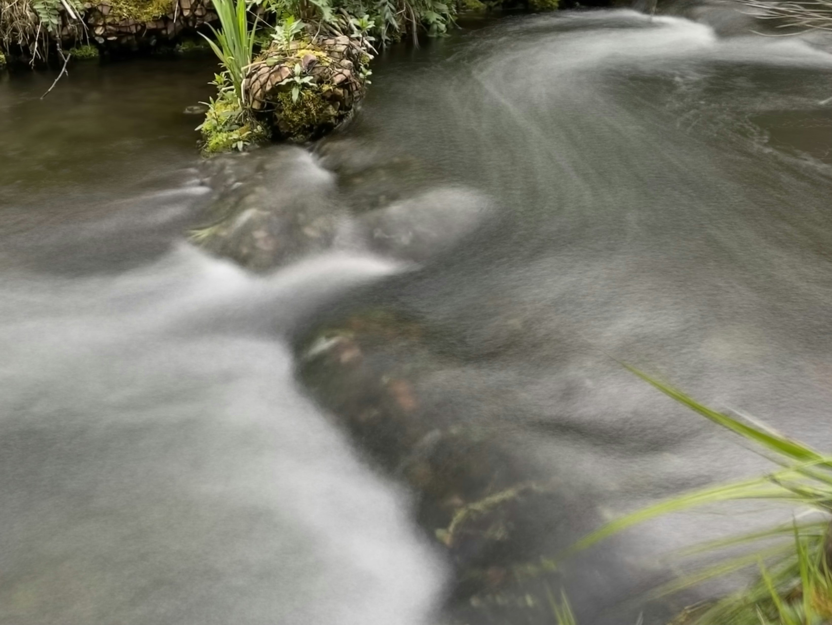 Photo by lucafortunato