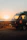 Couple enjoying a sunset picnic beside a campervan parked near a beach.