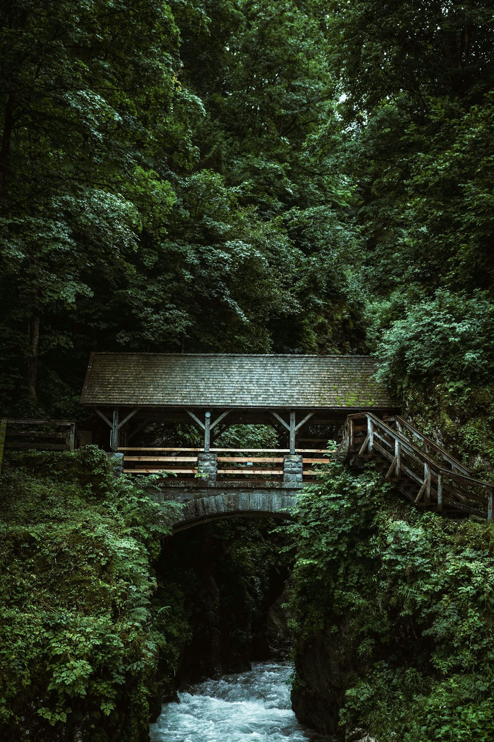 a wooden bridge over a river in a forest