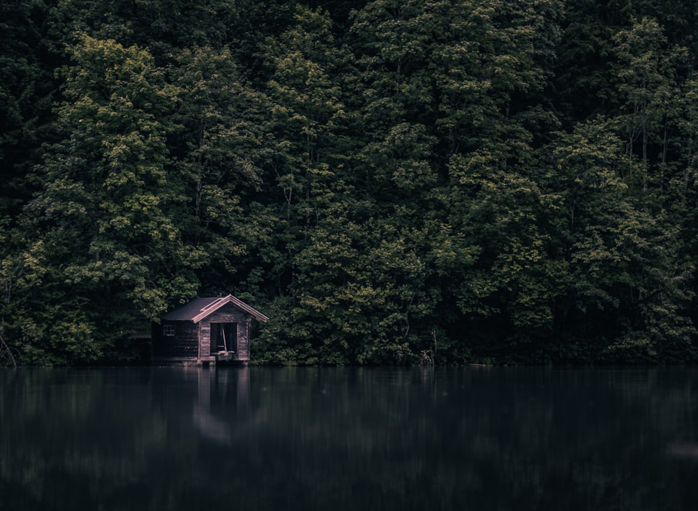 a house sitting in the middle of a lake surrounded by trees