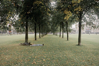 a person laying on the ground in a park