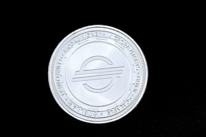 Gupta Silver Coin