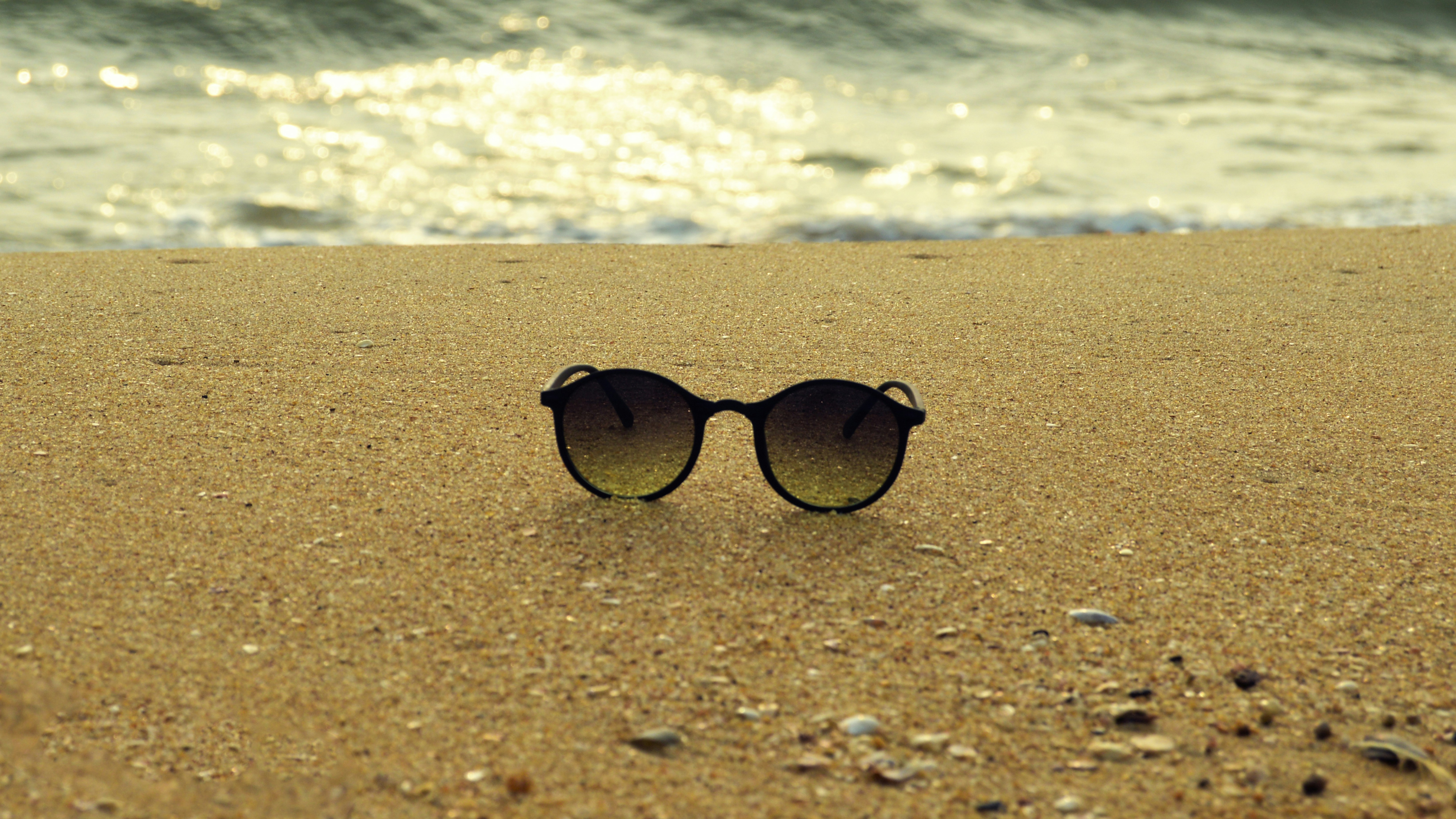 Photo by abhilashbalakrishnan97