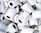 A large pile of white toilet paper rolls, each with a textured pattern. The rolls are scattered in a seemingly random manner, some stacked and others resting in different orientations with visible cardboard tubes.