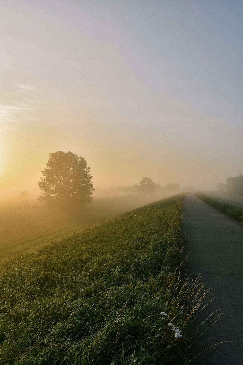 the sun is shining through the foggy sky