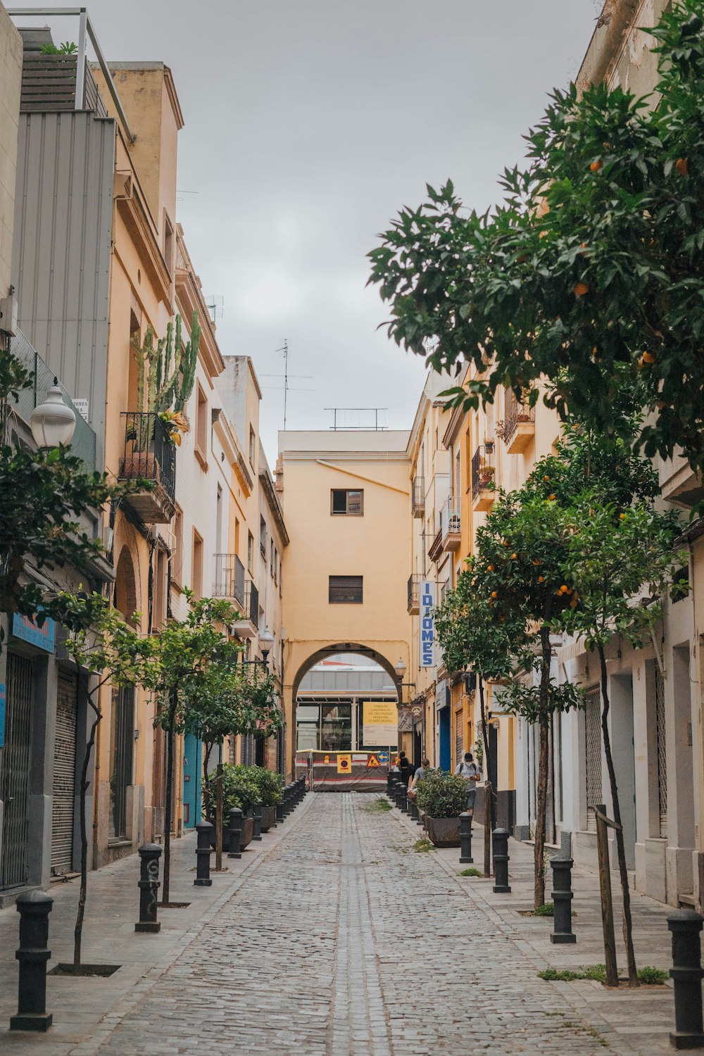 árboles verdes en medio de los edificios de hormigón marrón durante el día