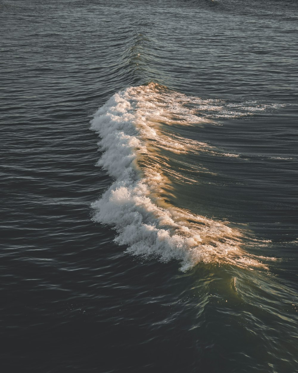 the wake of a boat in the water