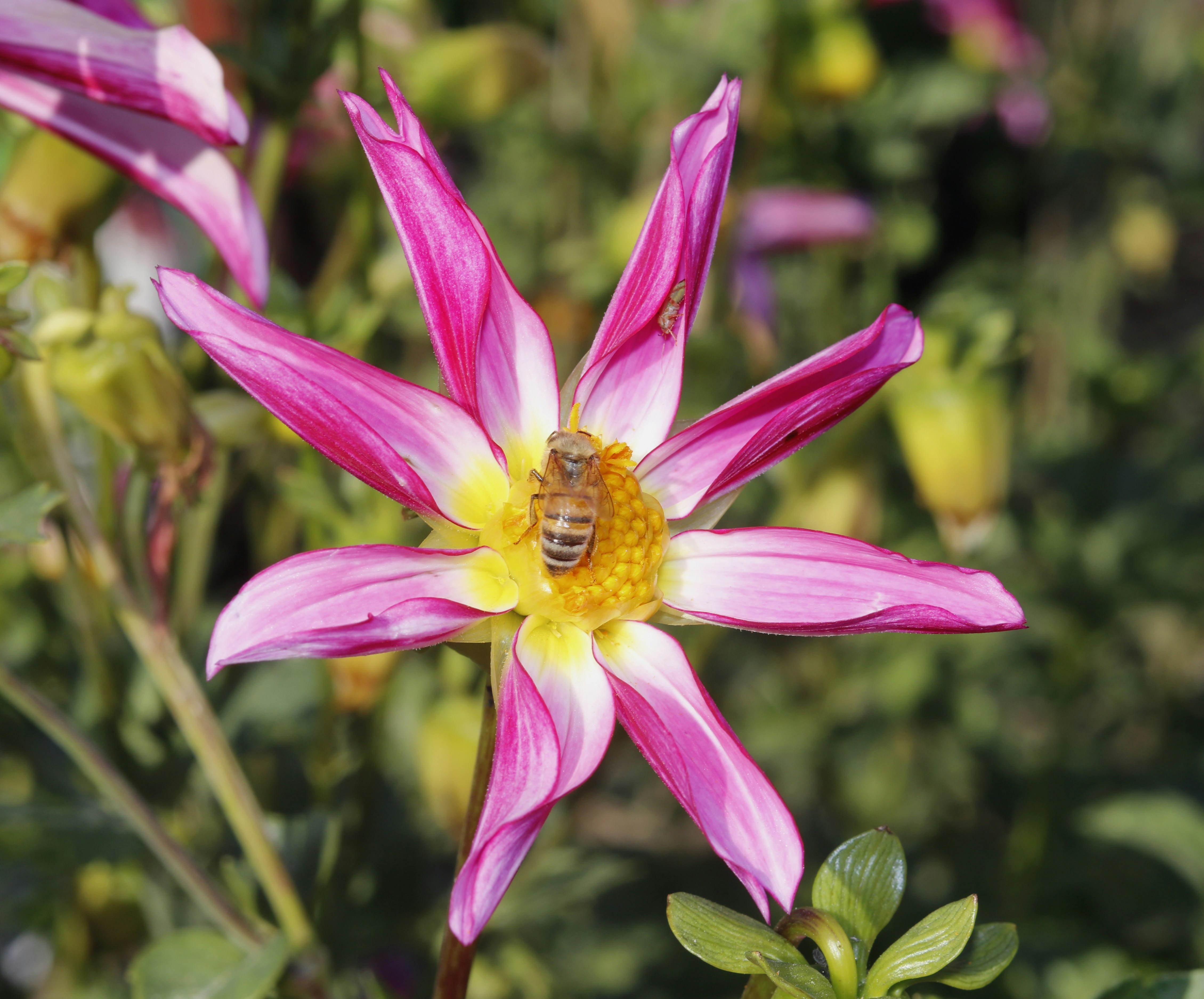 Photo by soundchaser