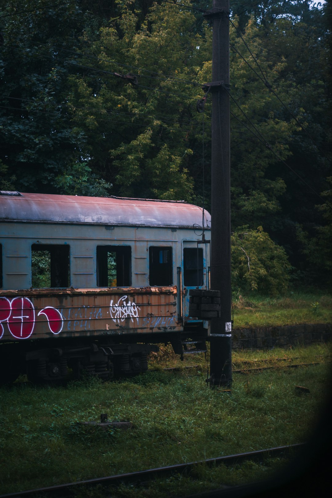 red and white train on rail tracks