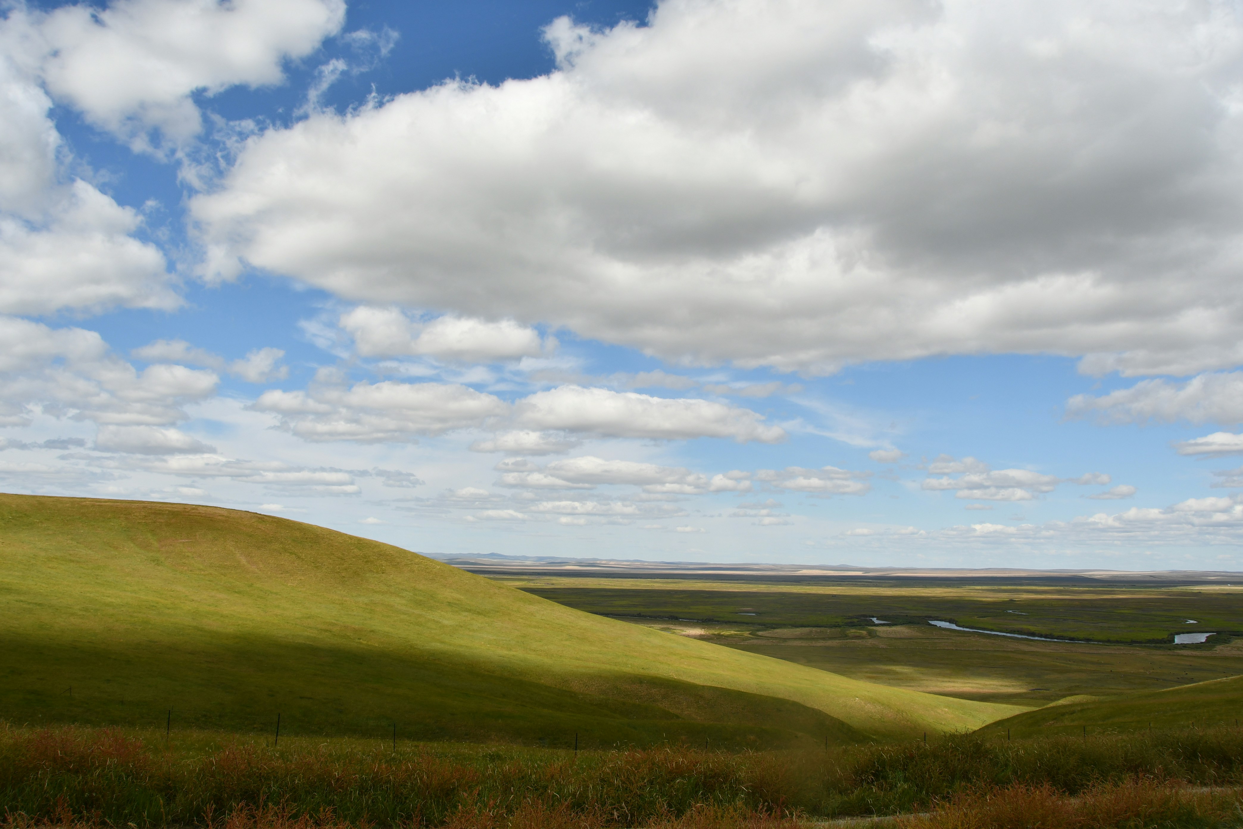 Photo by higashikata_josuke