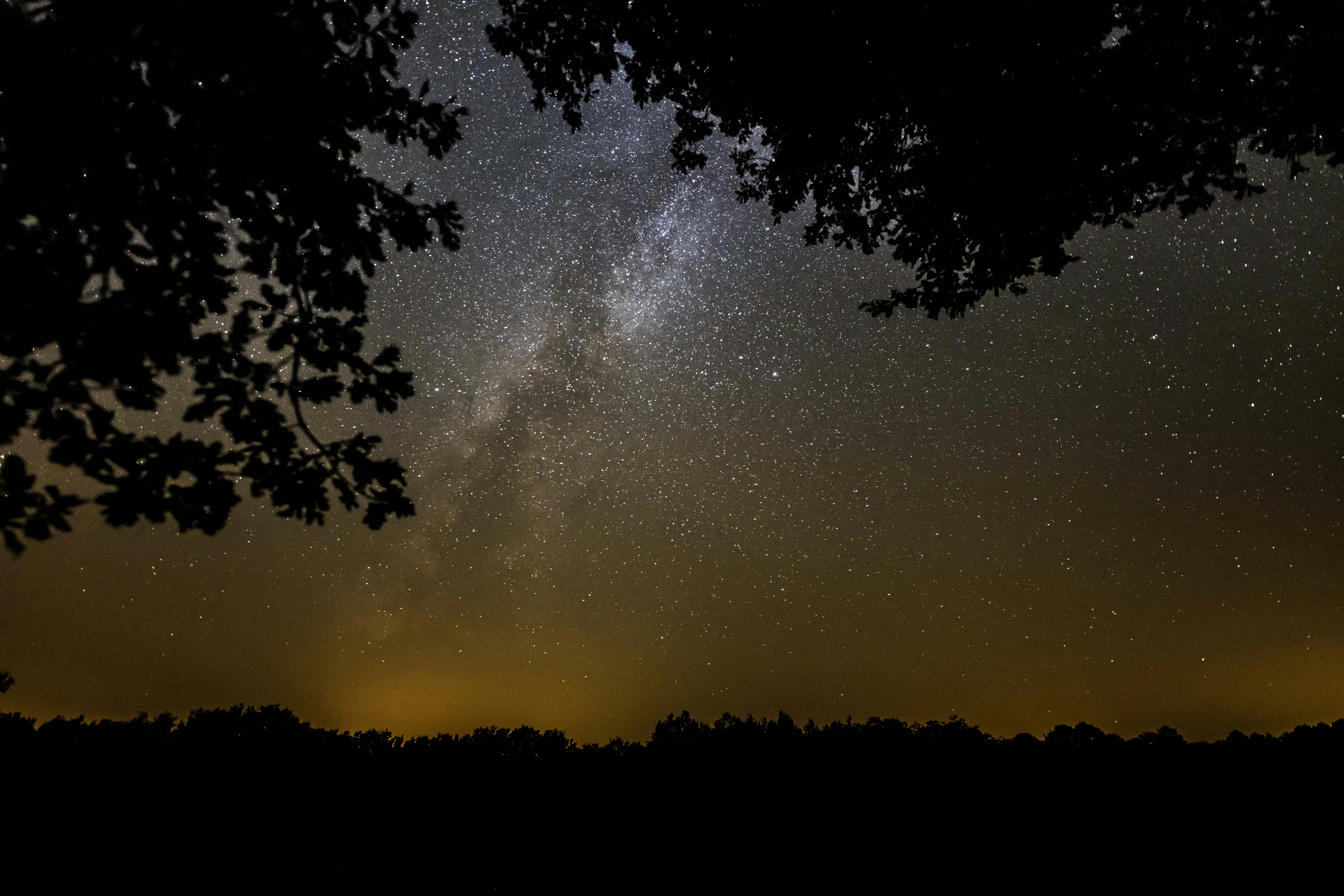 Photo by mynameisyanick